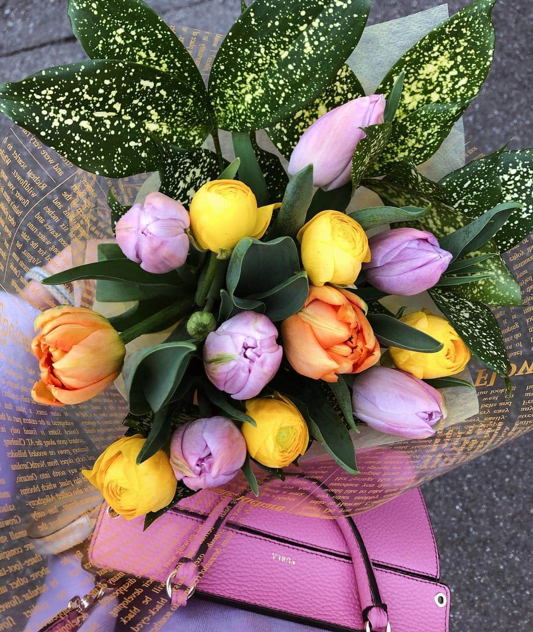 mamany704さんのインスタグラム写真 - (mamany704Instagram)「* * 💐💐💐 * * お花のパワーを感じる🤗 * * ビビッとくるってこーゆうこと。 だいたい見た時から決まってる💜🧡💛 * * #flower#flowers#tulip#ranunculus#loveflowers#purple#orange#yellow#thanks#mother#birthday#チューリップ#ラナンキュラス#花束#好みすぎてうずく#きゅん」3月22日 21時59分 - mamany704