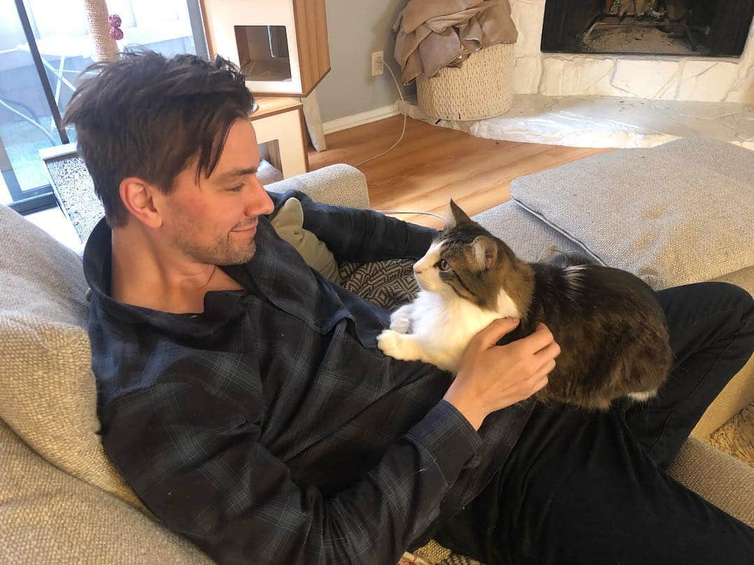 トーランス・クームスのインスタグラム：「Doing my duty as cat furniture.」
