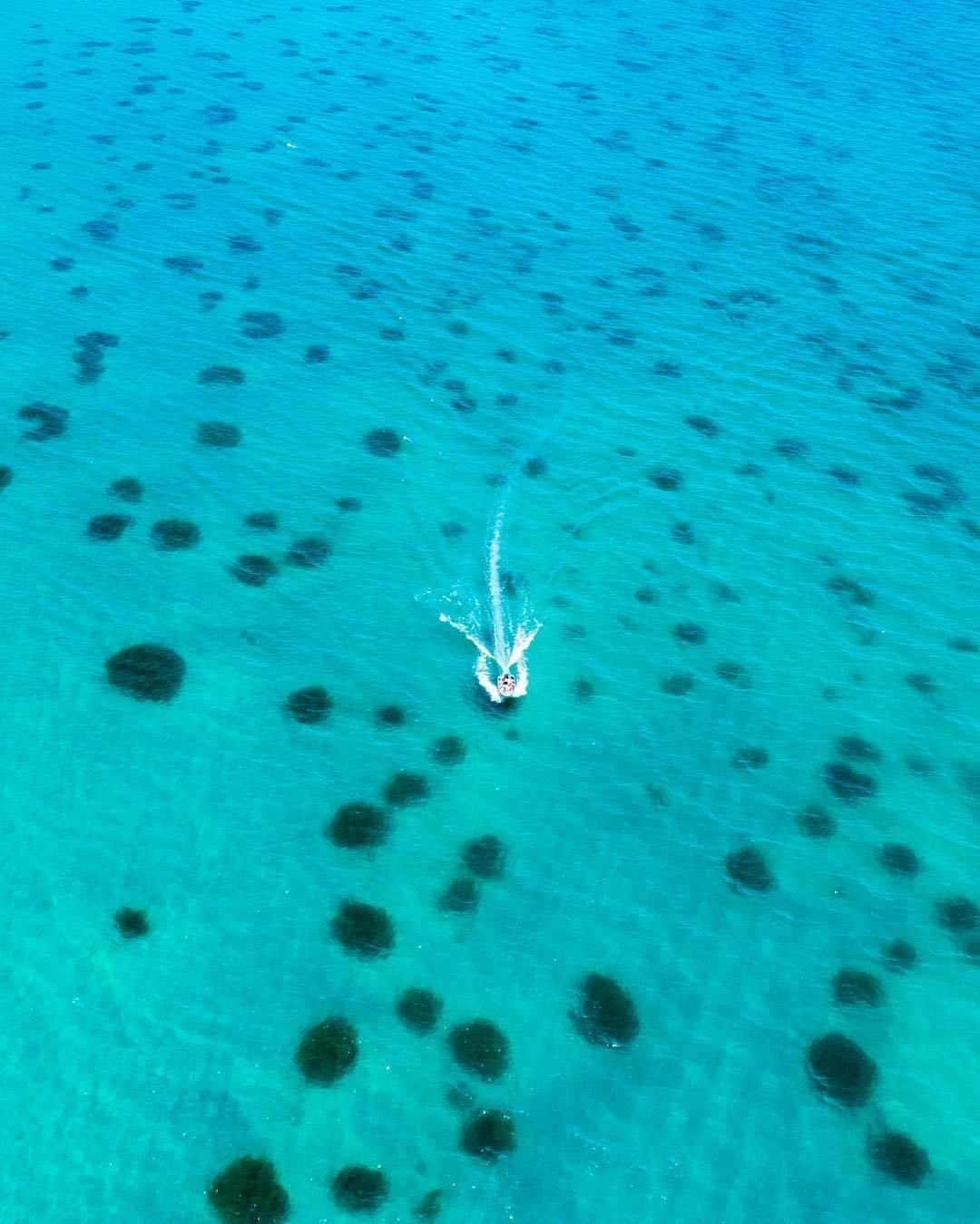 Australiaさんのインスタグラム写真 - (AustraliaInstagram)「We’re cruising into the weekend, who’s in?! 😎🚤 @wunderlust.media spotted this boat and its lucky passengers gliding through the sparkling blue water at @southaustralia‘s #SellicksBeach; which looks like a rather ideal way to spend a day if you ask us. Located an hour’s drive from @cityofadelaide, this beautiful beach in the @officialfleurieupeninsula region has excellent boat launching facilities, so you’ll spot plenty of locals taking their vessels out for a spin here. Enjoy a lazy morning at the beach, coupled with a walk along the Esplanade for the best sea views, then grab a bite to eat at the historic @victoryhotel up the road.  #seeaustralia #seesouthaustralia #fleurieupeninsula #travel #thegreatoutdoors」3月22日 14時00分 - australia