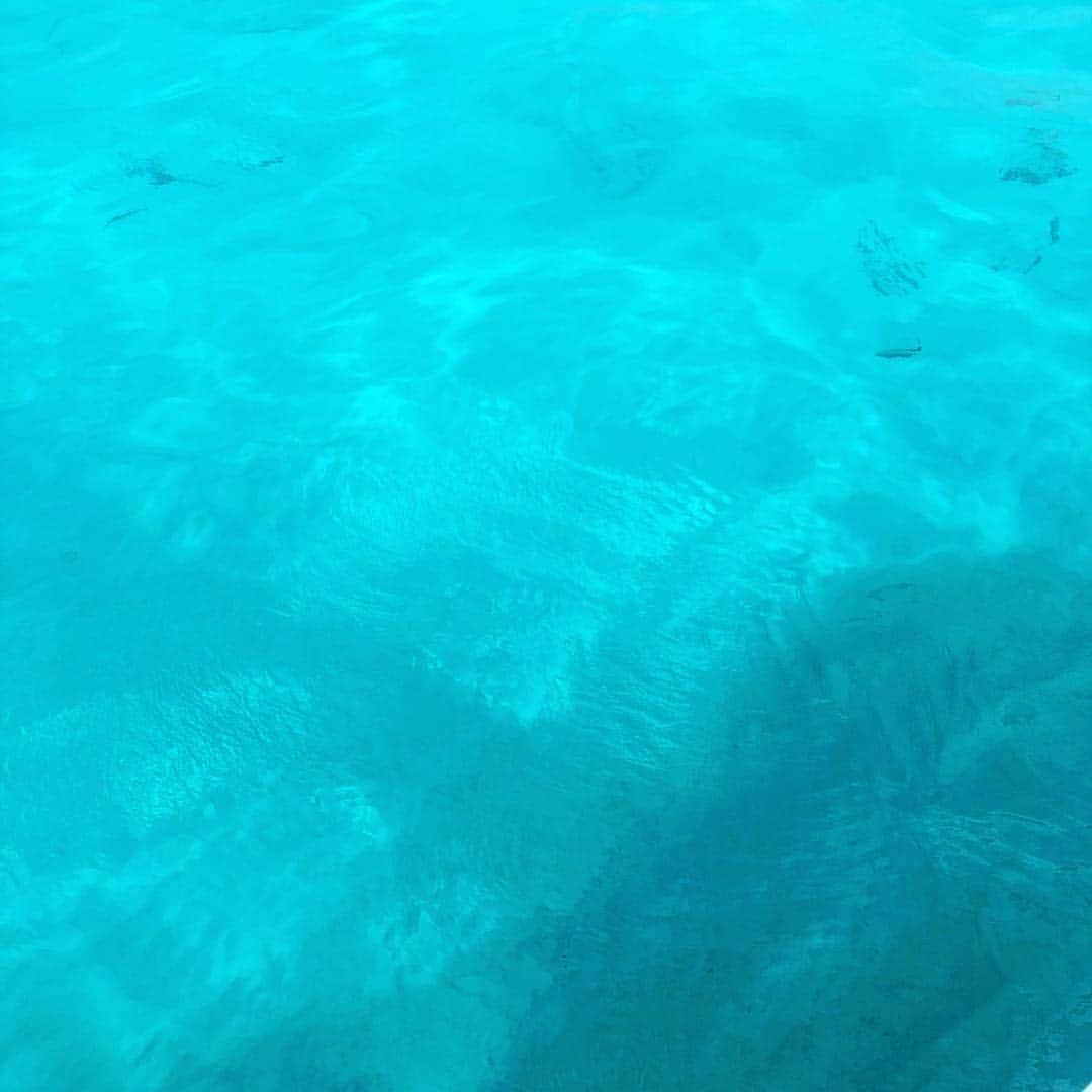 阪井あゆみさんのインスタグラム写真 - (阪井あゆみInstagram)「#byebye  #stmartin #wonderful_country」3月22日 14時16分 - ayumisakai0121