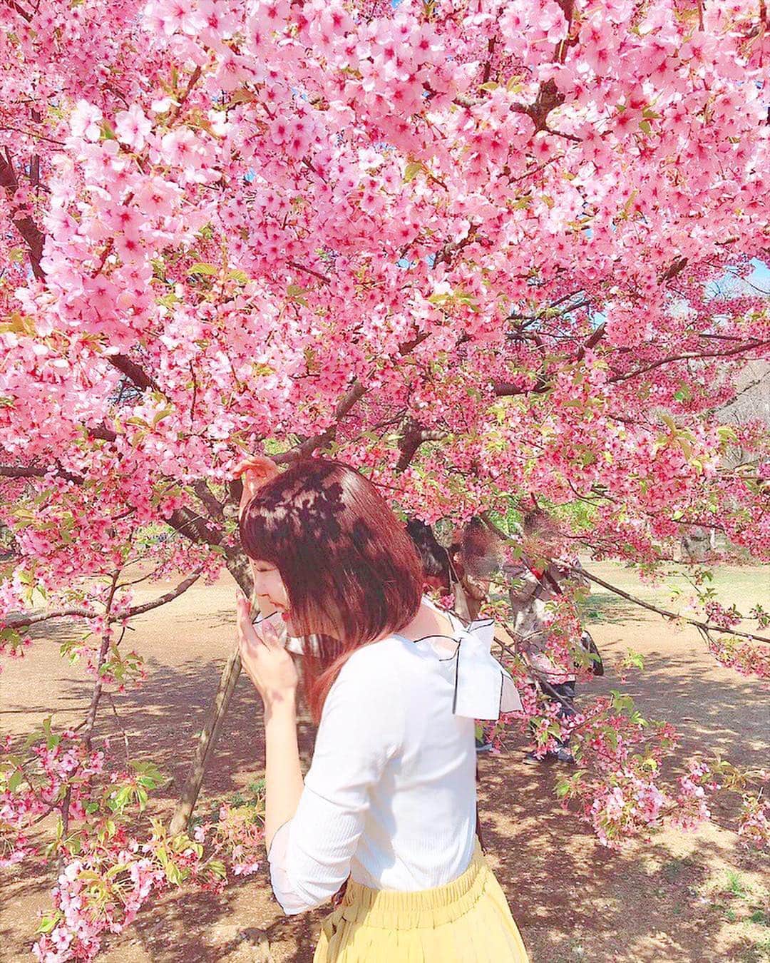 浅井麻里さんのインスタグラム写真 - (浅井麻里Instagram)「🌸🌸 . 動画撮影であちこちロケ巡りしてて、 代々木公園の桜とも撮影したの🌸 スタッフさんと話しながら爆笑してるとこだけど、 たまにはこんな写真も🤣💕（笑） . 広い公園の中、満開ってくらい咲いてたのは この木一本だけ！不思議✨🌸 . 他に、ザ・東京って場所でも撮影できて すごく嬉しかったし、 きっと素敵な動画になってるから 公開されるの楽しみー❤️(*´ω`*) . . 白トップスは、@miia_official の💕 バックのオーガンジーリボンが可愛い🎀 いろんなコーデに合わせやすそう✨ . . #桜#ポートレート#代々木公園#ミーア#春コーデ#ラッピングトップス#miia#instafashion#楽天忘れられない絶景」3月22日 14時37分 - mari_asai_625