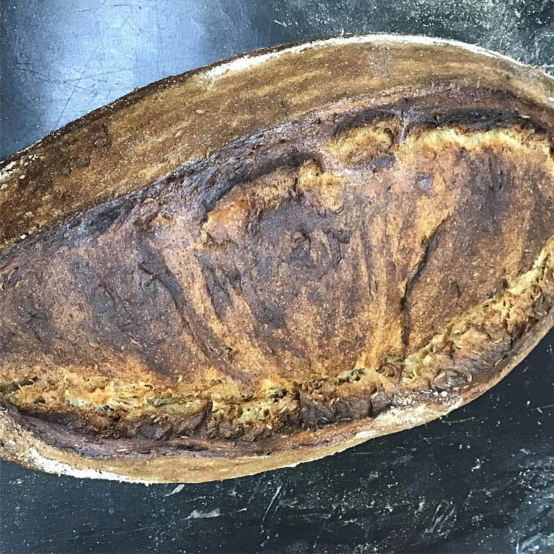 魔女菅原のグルメインスタ