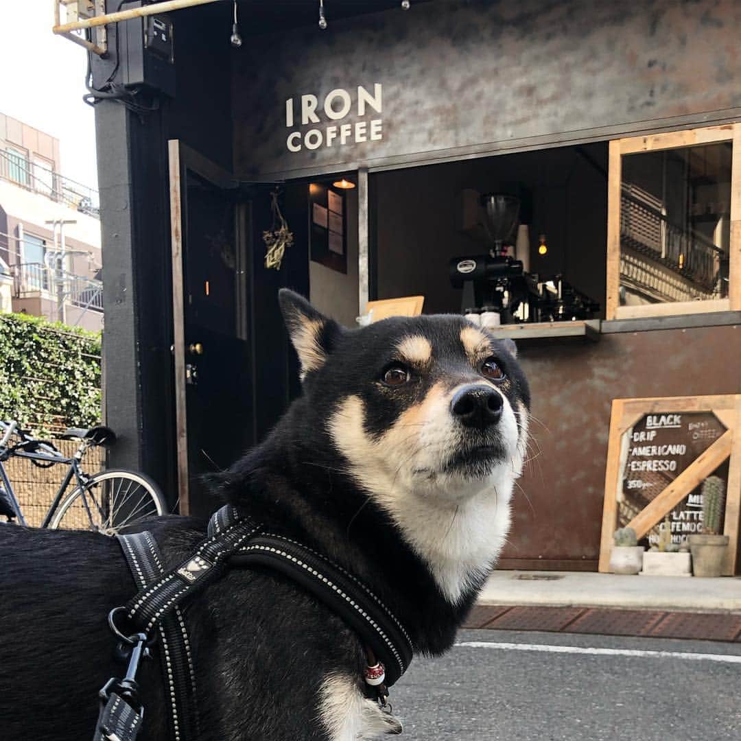 vo_coのグルメインスタ