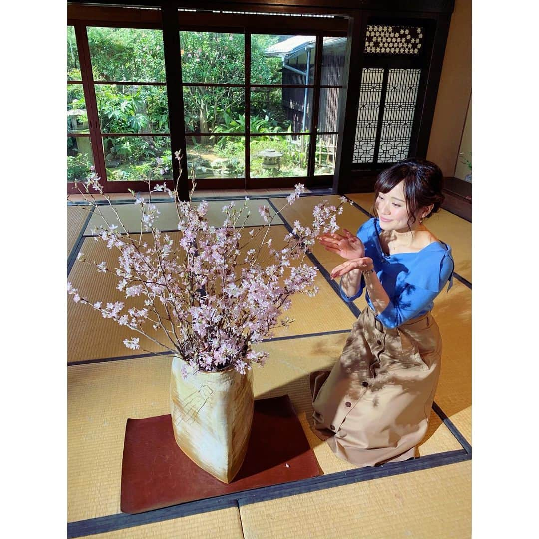 繁田美貴さんのインスタグラム写真 - (繁田美貴Instagram)「*＊ 昨日、東京で 桜の開花が発表されましたね♪ #収録現場 にも #桜 #もうすっかり #春ですね #🌸 #ワタシが日本に住む理由」3月22日 16時46分 - handa_miki