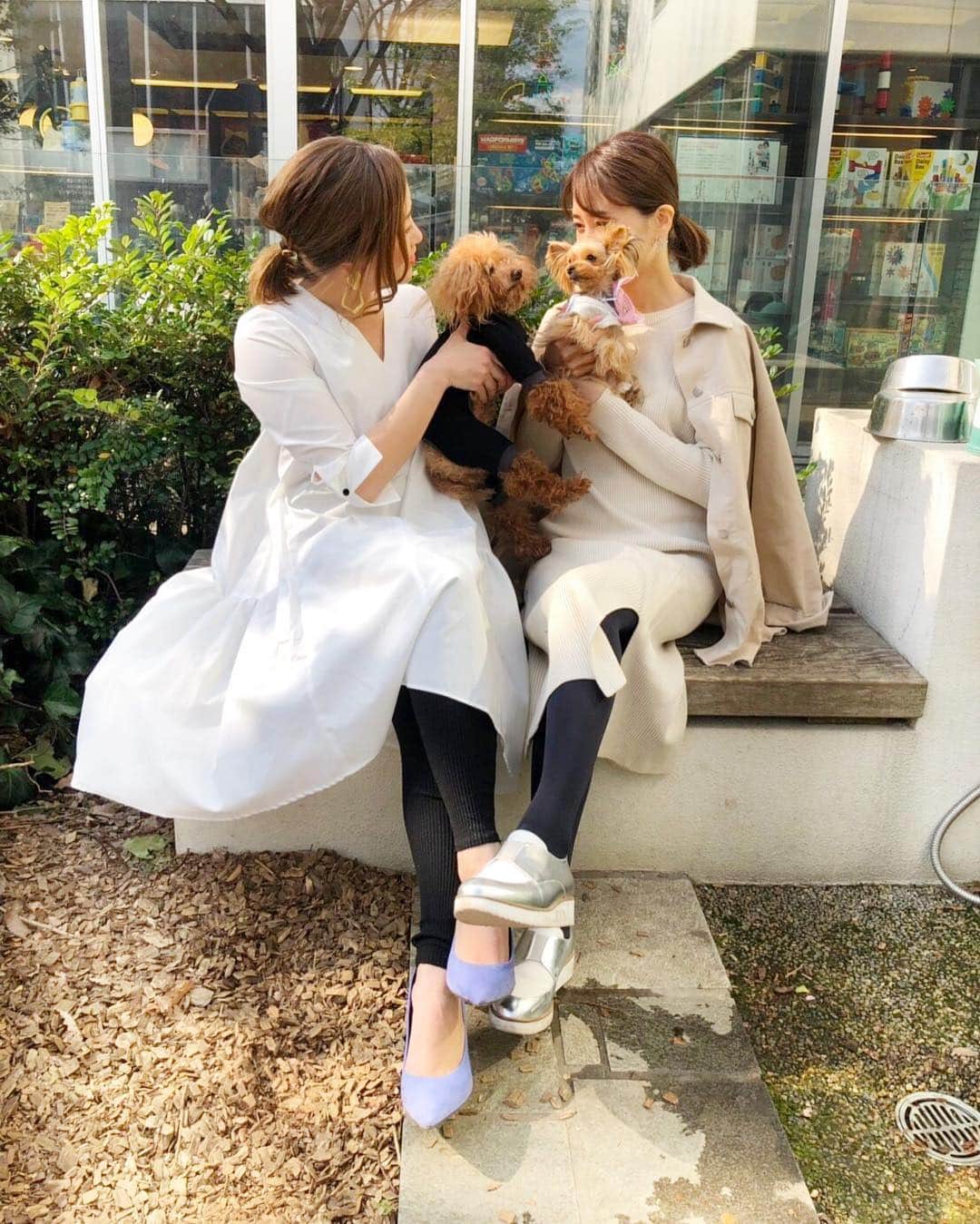 ❁coco❁さんのインスタグラム写真 - (❁coco❁Instagram)「【ワンコデート❤️】 代官山でランチ。with @kaori.omura  犬見知りな ひめちゃんと おじいちゃん ロコちゃんは 特に絡み合うこともなく でも何だか ほのぼのする ナイスコンビなのです☺️✨ ・ この日もポカポカ良い天気で 楽しい一日でした🥞💕 ・ #お花見 #お花見コーデ #お花見デート #代官山カフェ #代官山ランチ  #ワンコ部 #わんこのいる生活 #わんことお出かけ #わんこなしでは生きていけません会 #トイプードル #トイプードル大好き #犬好きな人と繋がりたい」3月22日 17時11分 - rococo39