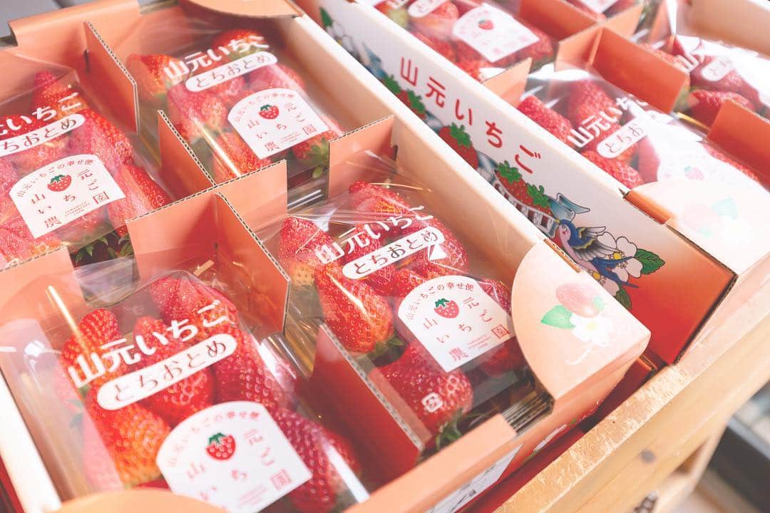 東北女子さんのインスタグラム写真 - (東北女子Instagram)「. 山元草莓農園 番外篇 . 在山元草莓農園如果採草莓時吃不夠，可以繼續在附設餐廳吃草莓料理！ . 雖然菜單很特別，但鹹食配草莓實在是... 很微妙😅 想吃個噱頭的人可以試試✌️ . . 📍咖哩：918円 📍比薩：432円 . . #日本東北 #東北 #東北女子travel #草莓 #採草莓 #いちご #イチゴ狩り #草莓料理 #宮城 #宮城旅行 #山元町 #東北旅行#miyagi #東北自助 #創意料理 #咖啡 #草莓比薩」3月22日 17時26分 - tohoku_girl_official