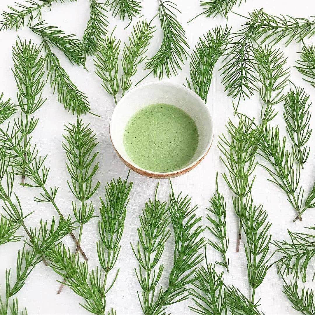 KANEBO OFFICIALさんのインスタグラム写真 - (KANEBO OFFICIALInstagram)「EARLY SPRING MATCHA RITUAL 春風薫る週末の茶事。 Listen to the vernal breeze. 写真提供:@midori.muko #spring #matcha #matchatime #matchalife#greentea #tea #beautiful #goodmorning#morning #japan #kyoto #zen #myfavorite #豊かな生活 #贅沢な時間 #丁寧な暮らし #暮らしを楽しむ #リラックスタイム #抹茶#茶道 #おもてなし #日本 #お茶の時間 #伝統 #日本文化 #茶器 #禅 #朝抹茶 #kaneboglobal #kanebo」3月22日 17時31分 - kaneboofficial