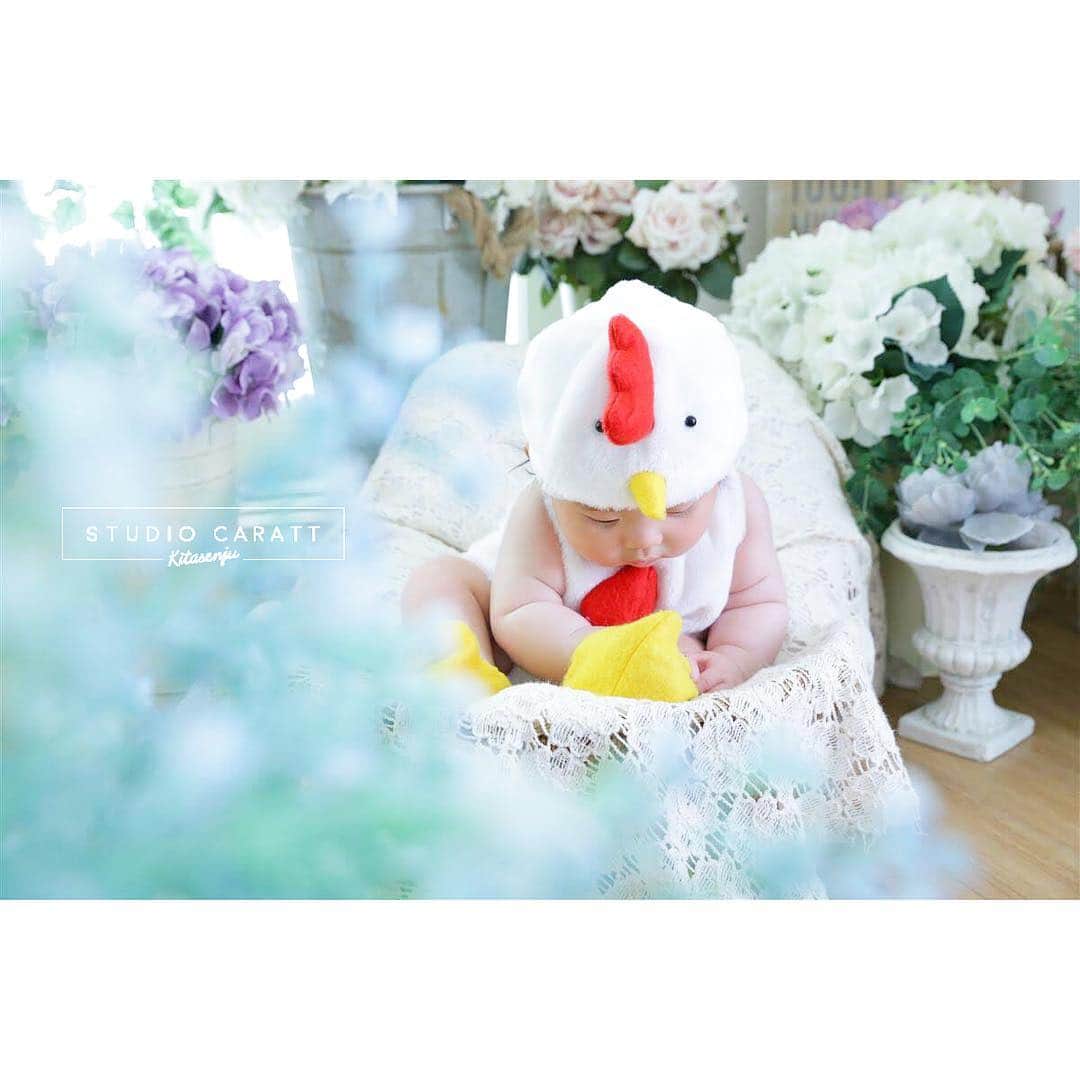 スタジオキャラット北千住マルイ店 振袖ラブリさんのインスタグラム写真 - (スタジオキャラット北千住マルイ店 振袖ラブリInstagram)「あんよが気になるにわとりベビーちゃん🐓💗 このあとあんよを口まで持っていって食べようとしてました😆✨ #スタジオキャラット #キャラット #スタジオキャラット北千住マルイ店 #studiocaratt #caratt #ANGEL #天使 #着ぐるみ #ベビーフォト #babyphoto #赤ちゃん #ちぎりパンの腕 #にわとりの着ぐるみ #スタジオ撮影 #スタジオ写真 #足立区 #北千住 #写真館 #写真スタジオ #こども #こども写真館」3月22日 17時33分 - caratt_kitasenju