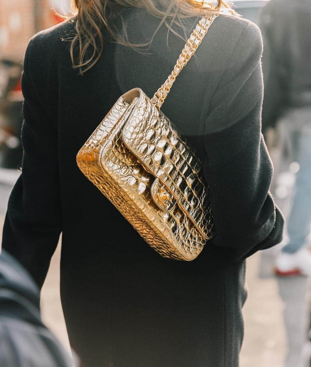のインスタグラム：「Walking with Karl #chanelartsetmétiers NY dec2018」