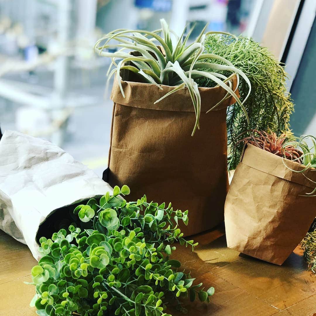 ニコアンドのグルメインスタ