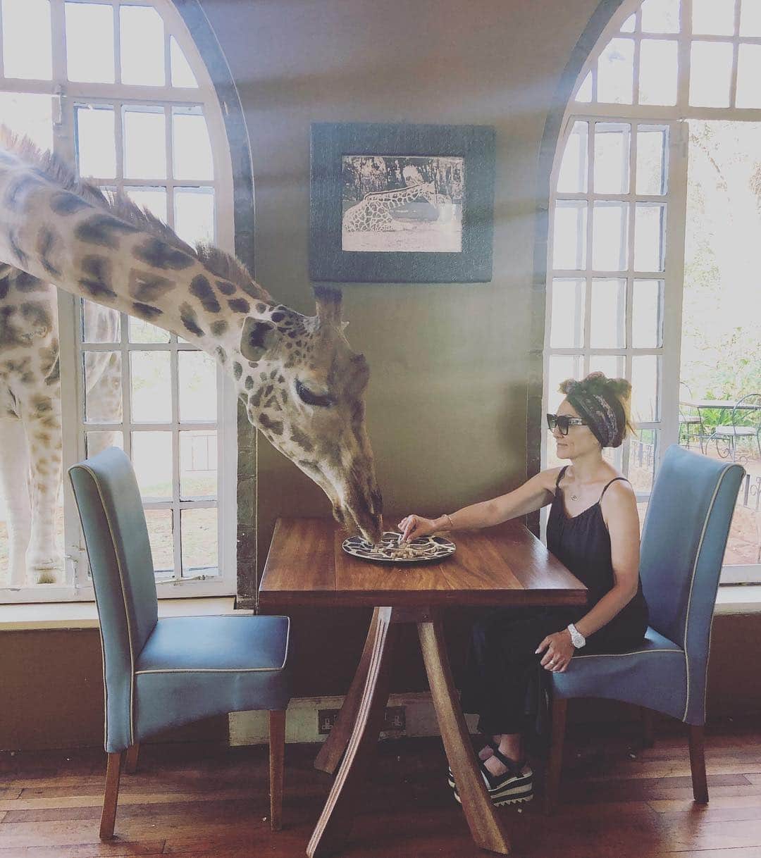 マキ・コニクソンさんのインスタグラム写真 - (マキ・コニクソンInstagram)「Good morning from Giraffe Manor, Kenya! 🇰🇪 ケニアからおっはよ！Lilyと一緒に朝ごはん!🍴 #旅のおすそ分け🤙🏼 #Kenyaのおすそ分け🇰🇪」3月22日 18時25分 - makikonikson
