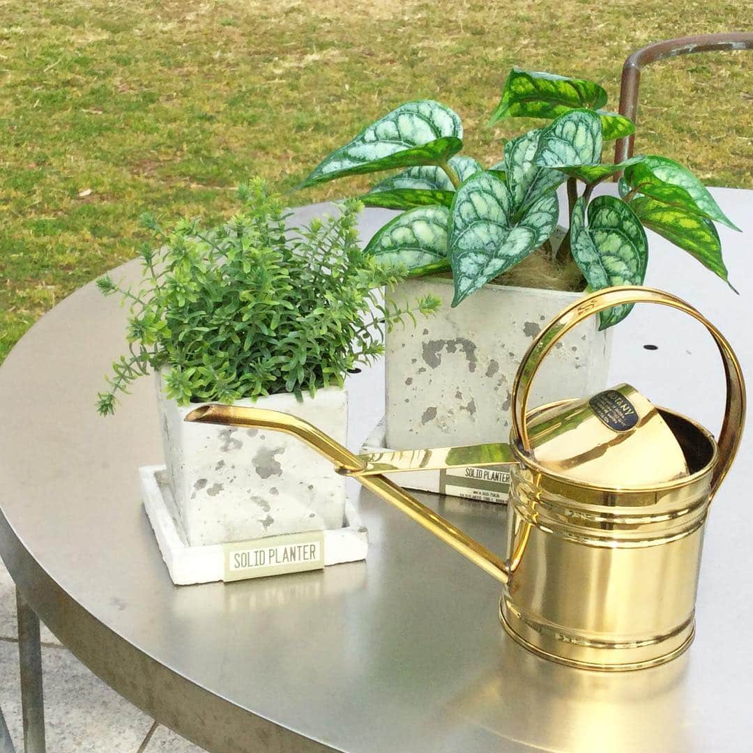 横浜ディスプレイミュージアムのインスタグラム：「そろそろガーデニングの季節ですね🌿 テーブルサイズの鉢は手軽に植物を飾れるので、初心者さんにもおすすめです。  ちなみに…こちらの鉢に植えられているのは、もちろん！フェイクのグリーンですよ〜 室内でも特に水回りなど、陽が当たらない場所にはフェイクグリーンが活躍します🌱  #横浜ディスプレイミュージアム #株式会社ポピ ー#ディスプレイ#アーティフィシャルフラワー #横浜#フラワーアレンジメント#インテリア雑貨#インテリア#display#yokohama #artficialflower #空間演出#インテリアコーディネート #フェイクグリーン #植物のある暮らし #グリーンのある暮らし #インテリアグリーン #観葉植物 #interiorgreen」