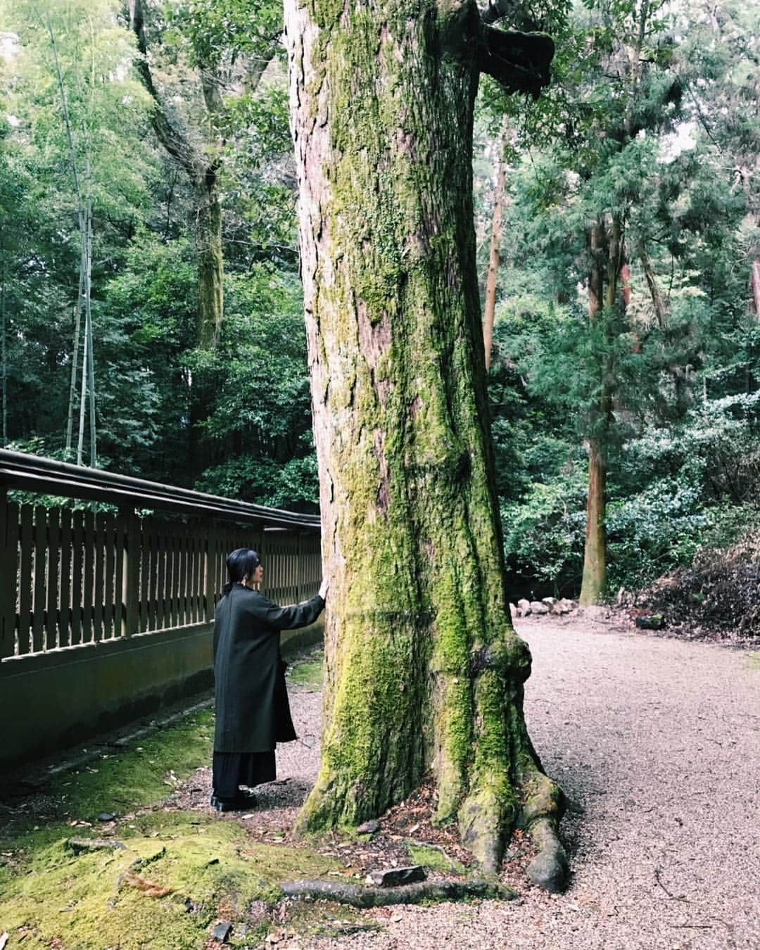 のインスタグラム