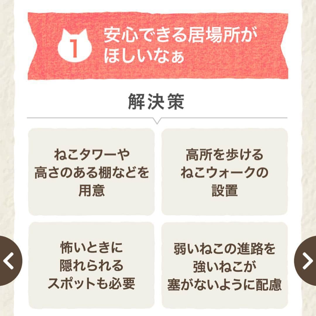 コテツさんのインスタグラム写真 - (コテツInstagram)「2019/3/22 タマホーム様「ねこと私の家」 ニャンコにとって理想的な空間がたくさんです 開発ダイジェスト動画の「ニャンコと暮らす家は間取りではなく空間で捉えないといけない」という言葉が印象的でした 吹抜けやにゃんこも飼い主も楽しいキャットウォーク 日向ぼっことニャルソックができる快適な広い空間に憧れます コテモツもニャルソック大好きだし好きな時にお外が見れたら 喜ぶだろうなと思いました そしてあまり見たことがなかった「スクリーン」 リビングを間仕切るアクリル建具でニャンコの様子を見ながら過ごせます 近くの友人がニャンコは大好きだけど飼ったことないし触れない ねこパンチが怖いという方がいたのでこのスクリーンは魅力的だと思いました あと鍋物する時や調理中なども助かりますね！ そしてにゃんこが安心出来る場所もこのお家はたくさんありそうですね モツが来た時コテツの居場所がなくなって体調を崩しましたので安心出来る場所は本当に大事だと思いました ニャンコと人が快適に安心して楽しく過ごせるお家 理想的で素敵ですね！ . https://customer.tamahome.jp/nekotowatashi/ .  #タマホーム #ねこと私の家 #ねこのきもち #ねこのいる暮らし #注文住宅 #ねこと暮らす #キャットウォーク #猫専用」3月22日 18時46分 - kotetuchan