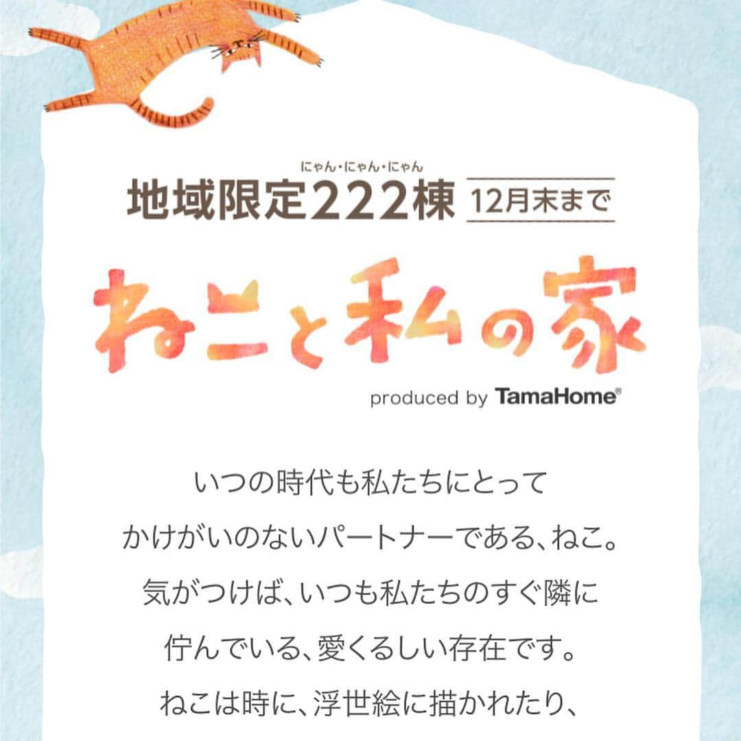 コテツさんのインスタグラム写真 - (コテツInstagram)「2019/3/22 タマホーム様「ねこと私の家」 ニャンコにとって理想的な空間がたくさんです 開発ダイジェスト動画の「ニャンコと暮らす家は間取りではなく空間で捉えないといけない」という言葉が印象的でした 吹抜けやにゃんこも飼い主も楽しいキャットウォーク 日向ぼっことニャルソックができる快適な広い空間に憧れます コテモツもニャルソック大好きだし好きな時にお外が見れたら 喜ぶだろうなと思いました そしてあまり見たことがなかった「スクリーン」 リビングを間仕切るアクリル建具でニャンコの様子を見ながら過ごせます 近くの友人がニャンコは大好きだけど飼ったことないし触れない ねこパンチが怖いという方がいたのでこのスクリーンは魅力的だと思いました あと鍋物する時や調理中なども助かりますね！ そしてにゃんこが安心出来る場所もこのお家はたくさんありそうですね モツが来た時コテツの居場所がなくなって体調を崩しましたので安心出来る場所は本当に大事だと思いました ニャンコと人が快適に安心して楽しく過ごせるお家 理想的で素敵ですね！ . https://customer.tamahome.jp/nekotowatashi/ .  #タマホーム #ねこと私の家 #ねこのきもち #ねこのいる暮らし #注文住宅 #ねこと暮らす #キャットウォーク #猫専用」3月22日 18時46分 - kotetuchan