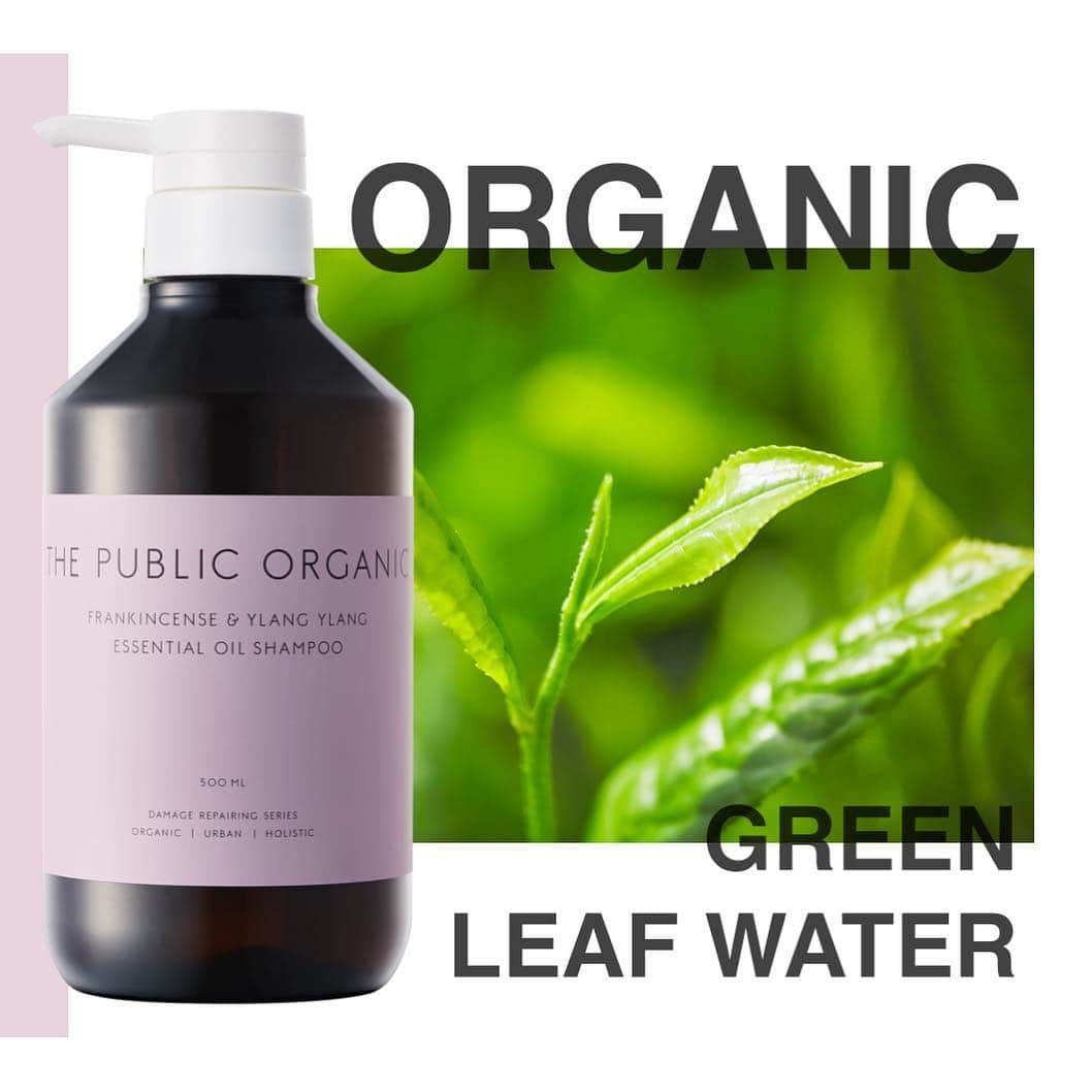 THE PUBLIC ORGANICさんのインスタグラム写真 - (THE PUBLIC ORGANICInstagram)「・ 日本が育んだ自然の恵みで、綺麗になる。﻿ ﻿ 東京発のオーガニックブランドとして、日本のオーガニック原料の発展に貢献したいという想いを込めて・・・﻿ ﻿ ピンクボトルの新シャンプー「スーパーポジティブ」は、ブランド初の自社（カラーズ株式会社）オリジナルオーガニック原料を使用しています。﻿ ﻿ 肥料や農薬に一切頼らず、植物と土壌本来の力を引き出す自然農法で育てられた茶葉を使用。﻿ 豊かな水と、綺麗な空気に恵まれた場所で大切に育てられた茶葉から、生命力溢れる保湿成分「オーガニックグリーンリーフウォーター※1」を作り上げました🌱﻿ ﻿ 「スーパーポジティブ」には、製品の10%以上にこのオリジナル原料を配合✨ 農家の方の情熱と愛情、そして茶葉の生命力を、あなたの髪で体感いただけると嬉しいです。﻿ ﻿ ザ パブリック オーガニック﻿ スーパーポジティブ　精油シャンプー＆トリートメント﻿ 容量／価格：各500mL／1,544円（税抜）﻿ ※詰替えパック、1dayパウチのご用意もあります！﻿ ﻿ #THEPUBLICORGANIC #ザパブリックオーガニック #春 #ピンク #新商品 #精油 #フランキンセンス #幸せを呼ぶ #ハッピーが舞い込む #オーガニック #スーパーポジティブ #精油ヘアケア #オーガニックヘアケア #ダメージ補修 #ダメージ補修ヘアケア #モテシャンプー #モテコスメ﻿ ﻿ ﻿ ※1 チャ葉水（保湿成分）」3月22日 18時50分 - thepublicorganicofficial