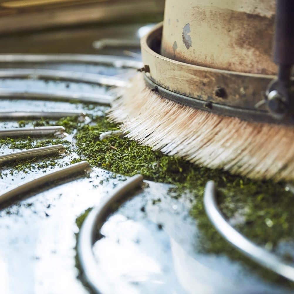 THE PUBLIC ORGANICさんのインスタグラム写真 - (THE PUBLIC ORGANICInstagram)「・ 日本が育んだ自然の恵みで、綺麗になる。﻿ ﻿ 東京発のオーガニックブランドとして、日本のオーガニック原料の発展に貢献したいという想いを込めて・・・﻿ ﻿ ピンクボトルの新シャンプー「スーパーポジティブ」は、ブランド初の自社（カラーズ株式会社）オリジナルオーガニック原料を使用しています。﻿ ﻿ 肥料や農薬に一切頼らず、植物と土壌本来の力を引き出す自然農法で育てられた茶葉を使用。﻿ 豊かな水と、綺麗な空気に恵まれた場所で大切に育てられた茶葉から、生命力溢れる保湿成分「オーガニックグリーンリーフウォーター※1」を作り上げました🌱﻿ ﻿ 「スーパーポジティブ」には、製品の10%以上にこのオリジナル原料を配合✨ 農家の方の情熱と愛情、そして茶葉の生命力を、あなたの髪で体感いただけると嬉しいです。﻿ ﻿ ザ パブリック オーガニック﻿ スーパーポジティブ　精油シャンプー＆トリートメント﻿ 容量／価格：各500mL／1,544円（税抜）﻿ ※詰替えパック、1dayパウチのご用意もあります！﻿ ﻿ #THEPUBLICORGANIC #ザパブリックオーガニック #春 #ピンク #新商品 #精油 #フランキンセンス #幸せを呼ぶ #ハッピーが舞い込む #オーガニック #スーパーポジティブ #精油ヘアケア #オーガニックヘアケア #ダメージ補修 #ダメージ補修ヘアケア #モテシャンプー #モテコスメ﻿ ﻿ ﻿ ※1 チャ葉水（保湿成分）」3月22日 18時50分 - thepublicorganicofficial