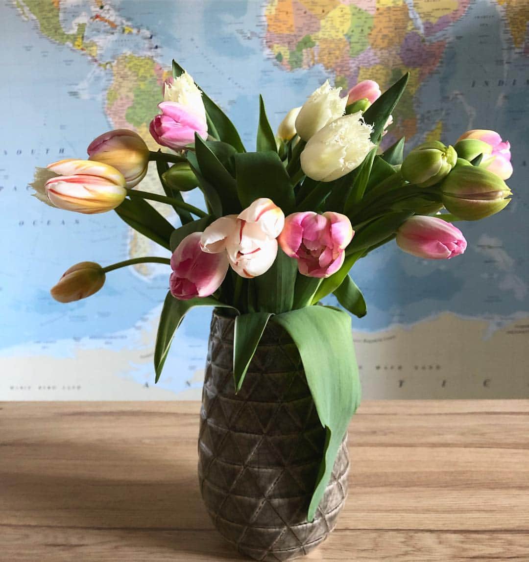 アンドレア・オズヴァルトさんのインスタグラム写真 - (アンドレア・オズヴァルトInstagram)「It is officially #spring! ☺️ #springtime #flowers」3月22日 19時10分 - andreaosvart