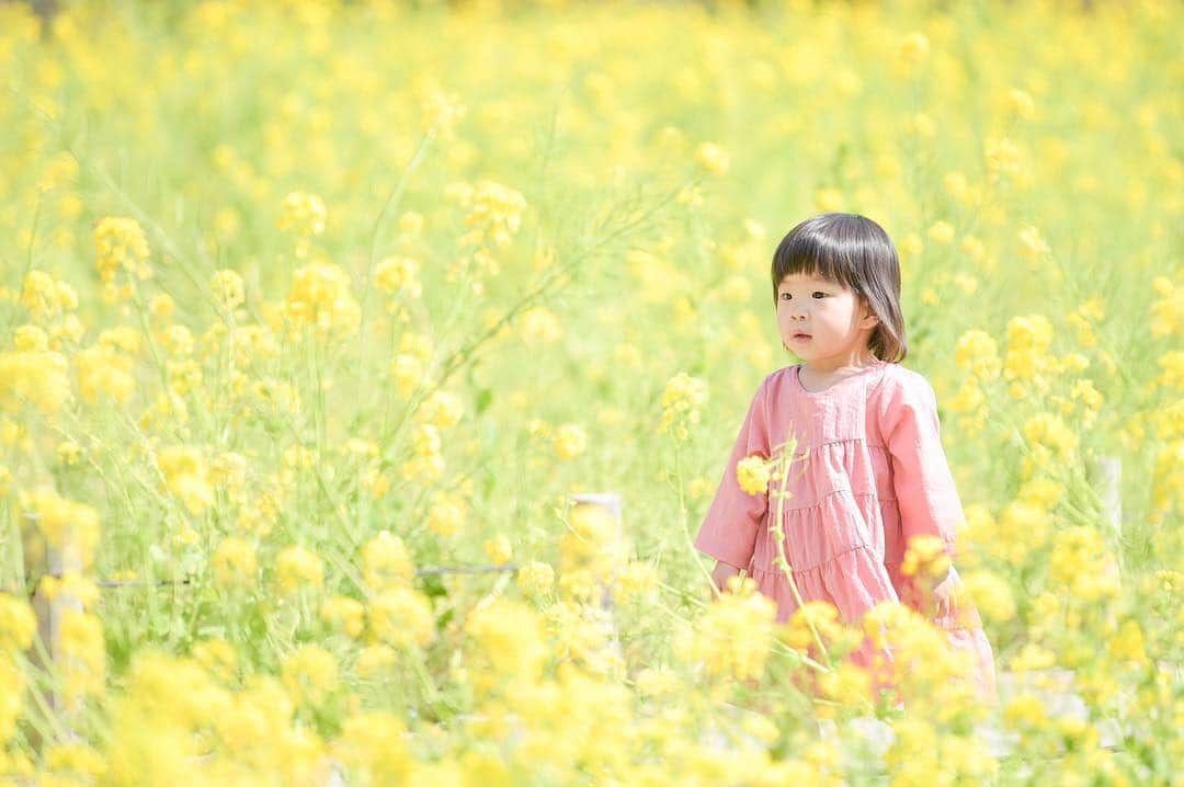 のインスタグラム：「今週もお疲れさまでした😊 現在、「春🌸」をテーマにお写真・動画を募集中です✨ 本日の #タビスルキッズ はこちら💕 📷 @0409wedding.yy さん 🚩東京都・中央区「浜離宮恩賜庭園」 🎙ご本人コメント @nicobare_photo さんの菜の花撮影会📸🌼🌼 ずーっと行ってみたかった #浜離宮恩賜庭園 ❤︎ いつもお世話になってるカメラマンさんが開催してくれて嬉しかったー🙏💕 ＊＊＊＊＊＊ ステキな春色の思い出になりますね✨ かわいいお写真ありがとうございます💕」