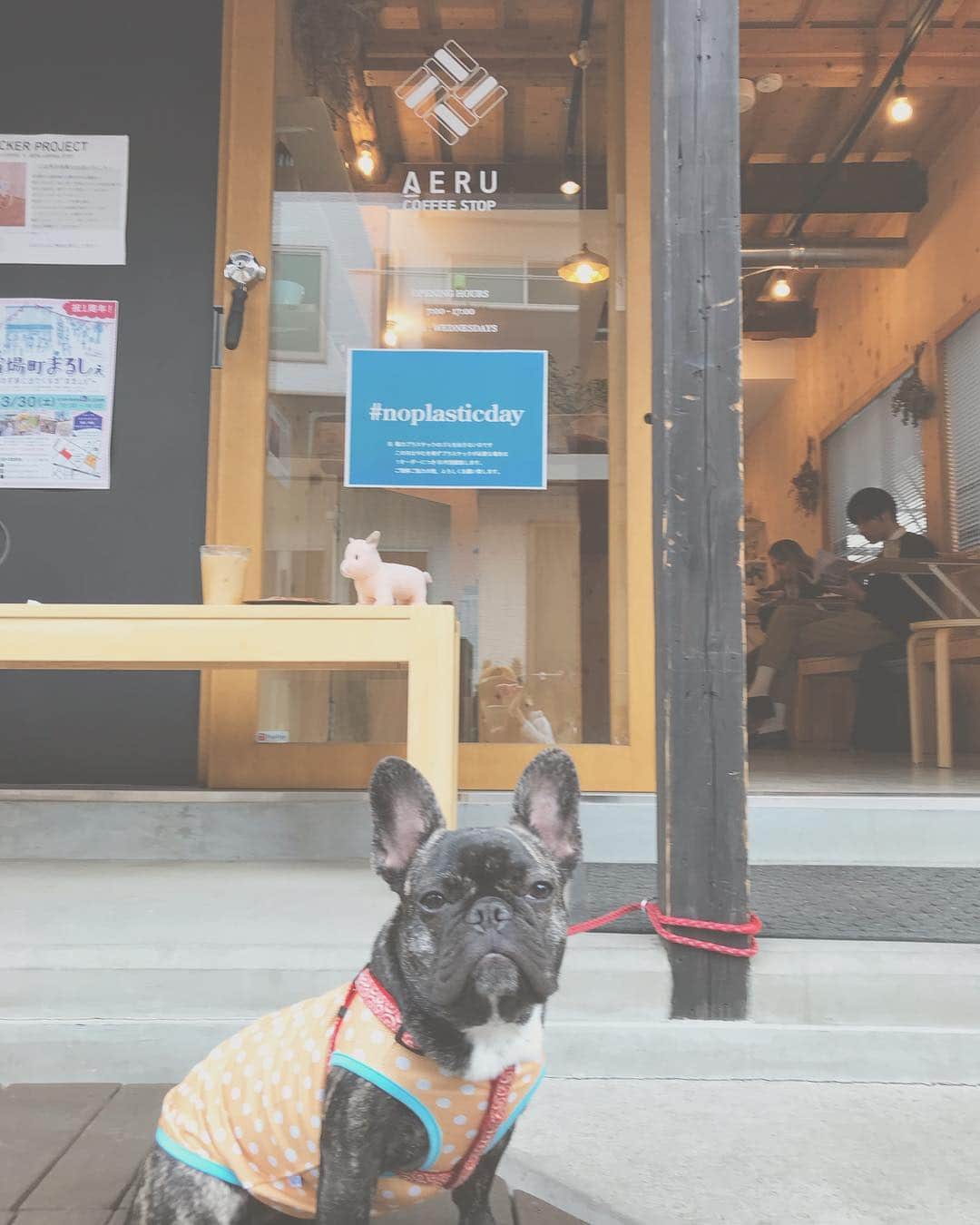 HeyCoffeeのグルメインスタ