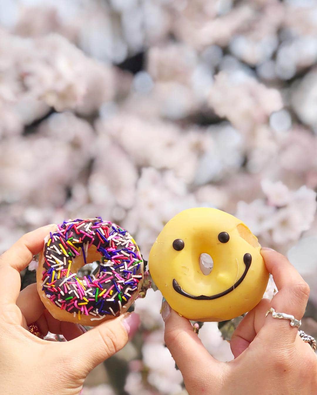 manamisotayutaさんのインスタグラム写真 - (manamisotayutaInstagram)「みんなで#お花見 したよ🌸🌸🌸 #新宿御苑 はまだ咲き始めだけど、一部の木だけ満開のとこがあったよ🌸 新宿御苑でお花見初めてだったけど、子連れにすごく良かった💗 トイレ、様式あるし❤︎🚽←重要‼︎ 暑いくらいいいお天気でお花見日和だったな💗 @kie.kie22  ちゃんが持ってきてくれたドーナツ🍩が映えるー😍❤️ わたしと @inoyuu07  ちゃんは#スヌーピーキャラ弁 ❤︎ ゆぅゆちゃんのクオリティには全然及ばないけど💦 こどもたちもみんなすっごく楽しかったみたいでいいお花見になったなぁ💗 ＊ ＊ コーデはお花見ということでみんなで #花柄スカート リンク🌸 ＊ ＊ cordinate tops/skirt @gu_global  @gu_for_all_  私は新作の#上下gu部 ❤︎ #ティアードフレアロングスカート  #オーバーサイズスウェット ＊ ＊ #お花見コーデ#ピクニックコーデ #双子コーデ#リンクコーデ#春コーデ #cordinate#code#春服#locari#ponte_fashion #mamagirl #オトナ女子#大人コーデ #大人女子コーデ#桜#sakura#タビジョ#picnic #花見弁当」3月22日 19時26分 - manamisotayuta