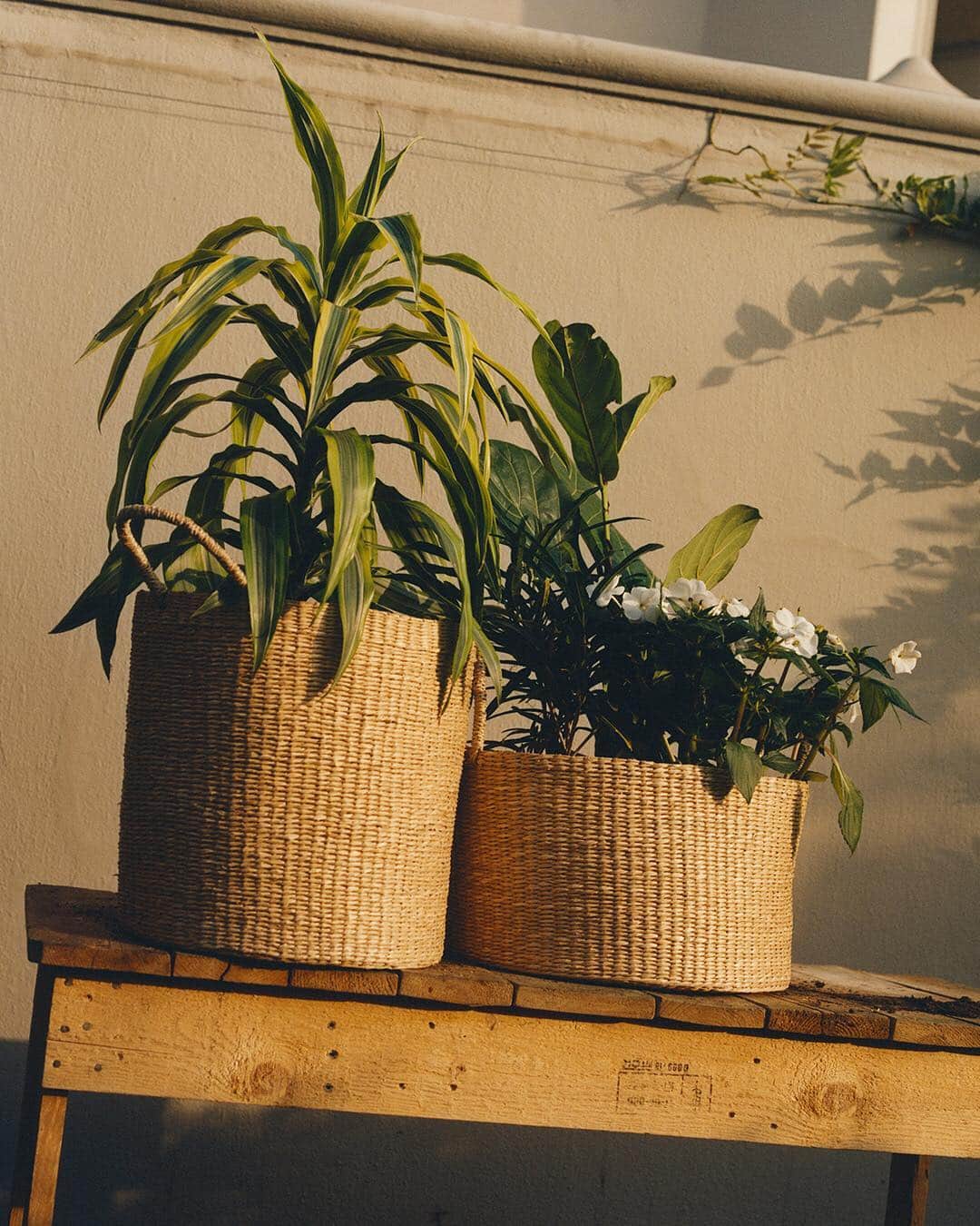 ARKETさんのインスタグラム写真 - (ARKETInstagram)「Made from natural seagrass, this basket is handcrafted by skilful artisans according to traditional Vietnamese weaving methods. Discover ARKET’s homeware collection: link in bio. - #ARKET」3月22日 19時31分 - arketofficial