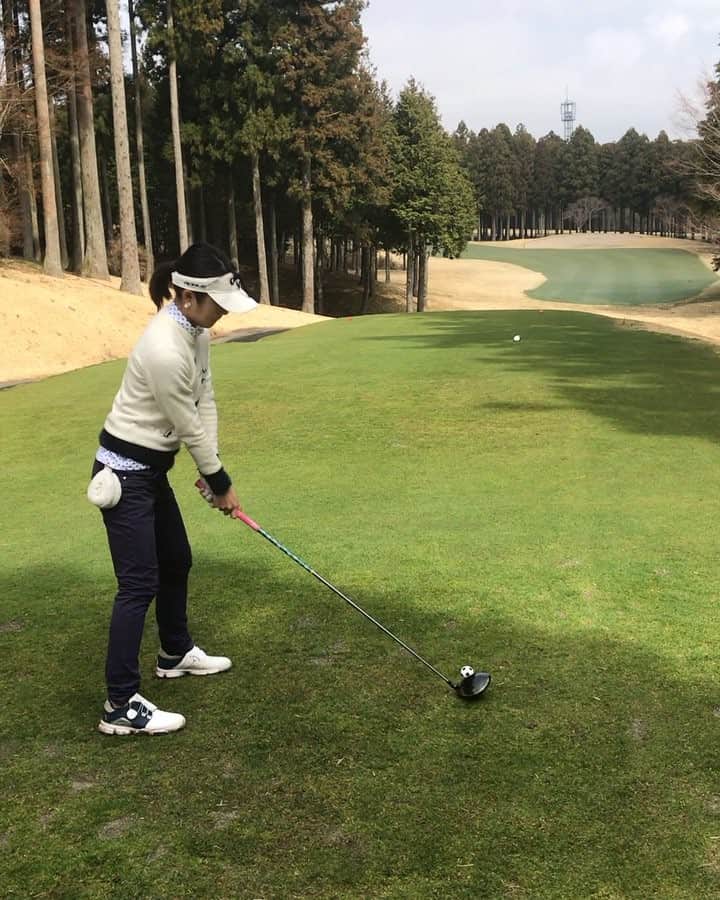 野田すみれのグルメインスタ