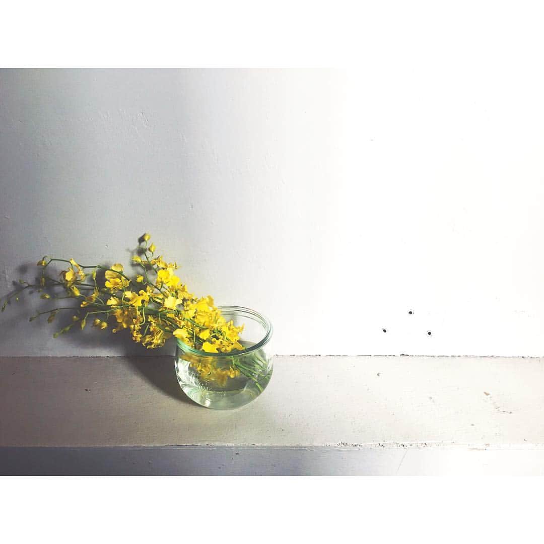 ito no otoのインスタグラム