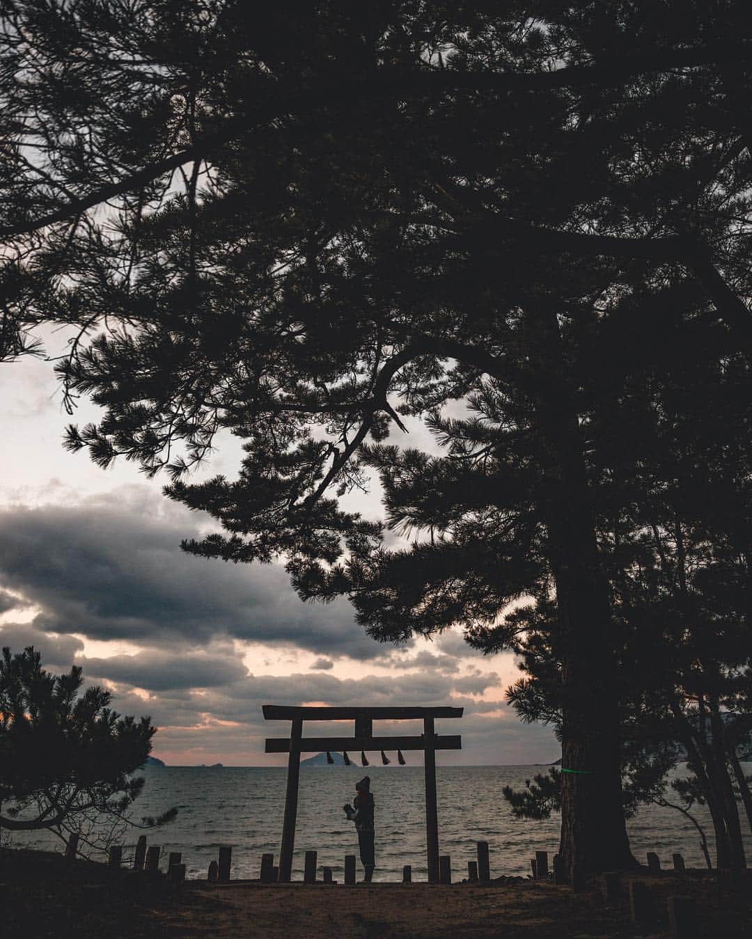 s ᴇ  ɴ ᴋ ᴄのインスタグラム：「Ok I admit that sometimes I miss her even she’s in Hong Kong #seanalogue ⛩」