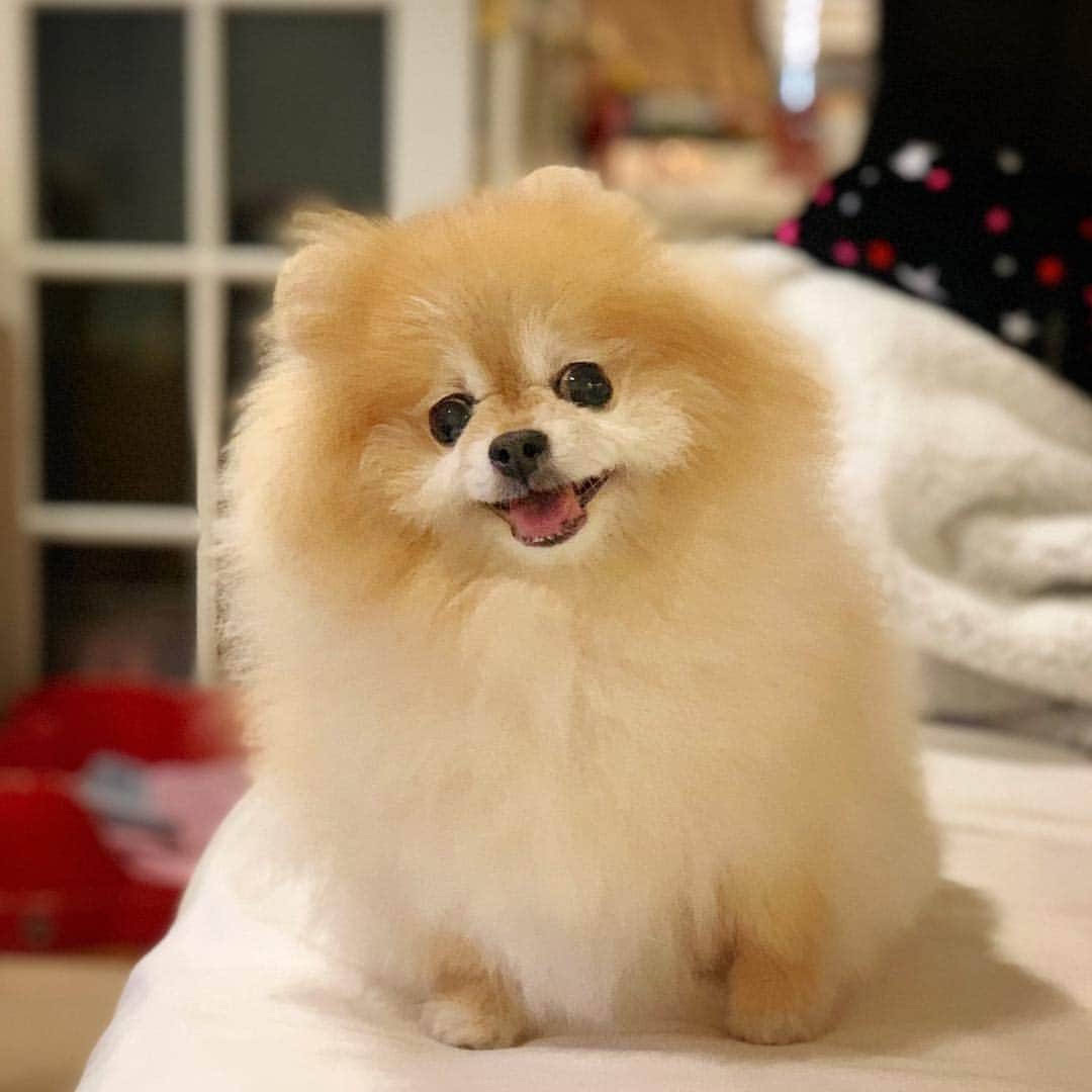 Ella Chuffyのインスタグラム：「Friday smile 🥰🧡❤️」