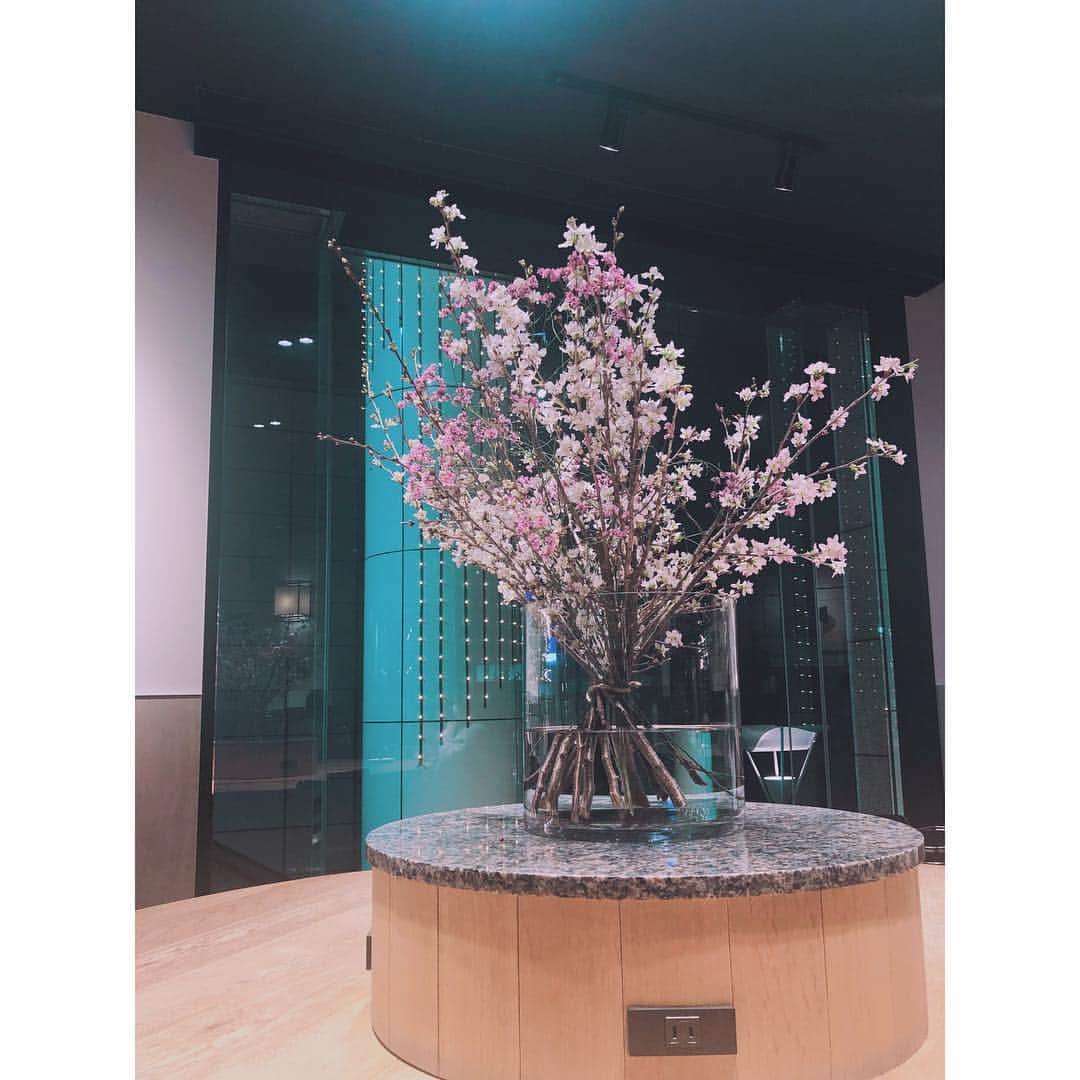 潘めぐみさんのインスタグラム写真 - (潘めぐみInstagram)「花 見 .  季節がやってきますね。 . #myfavorite #myfavoritethings #myfavoriteplace #SAWAMURA #tokyo #広尾」3月22日 20時18分 - han_meg_han