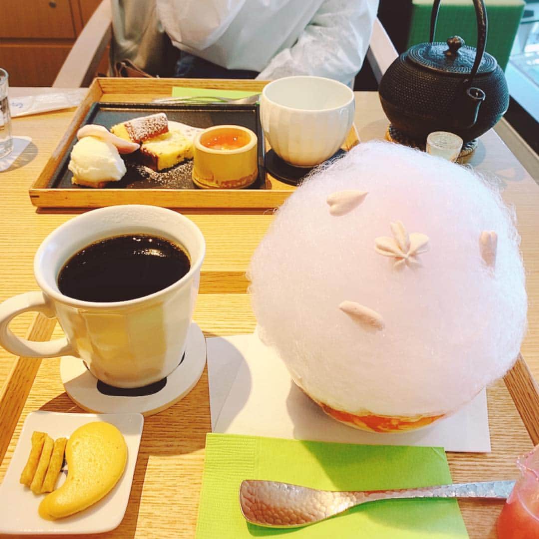 沢口千恵のインスタグラム：「桜味のおやつ。  綿あめのなかは桜ゼリーや桜のメレンゲ、桜のカステラなどなど。  綿あめに桜のシロップをまわしてかけると、綿あめはしゅわしゅわ溶けてしまう。  なんていう儚さ！ ほんものの桜を想わせる演出かな。  興奮しながら食前を楽しみ、あとは美味しく美味しくいただきました。思いだしてもしあわせ🌸  かわいこちゃんの食べていた桜ノ膳も美味しそうでした✨  #然花抄院 #桜の巴絵  #ピロちゃん」