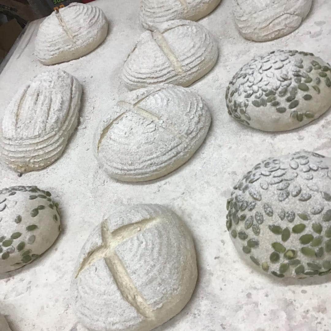 魔女菅原のグルメインスタ