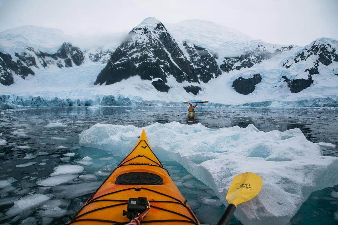 マイケル・ドーソンさんのインスタグラム写真 - (マイケル・ドーソンInstagram)「Exploring new destinations ❄️ This was one of the most incredible experiences I’ve ever had - Beauty Wildlife Ice - all by explored from the comfort of a kayak.  #goprohero7 #antarctica #kayaklife #teamnrs . . Photo by @alexhillary 🙏🏿 #inspiringexplorers2019」3月23日 6時13分 - mrmikedawson