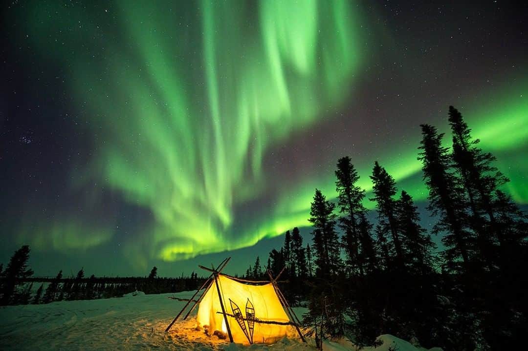 National Geographic Travelさんのインスタグラム写真 - (National Geographic TravelInstagram)「Photo by @DaisyGilardini | The Northern Lights are triggered by sun storms. They form when electrically charged energy particles collide with the Earth’s atmosphere. Quite aside from the scientific explanation, the Lights themselves are enchanting to watch. Follow me @daisygilardini for more images and stories behind the scenes. #northernlight #auroraborealis #manitoba #arctic」3月23日 7時04分 - natgeotravel