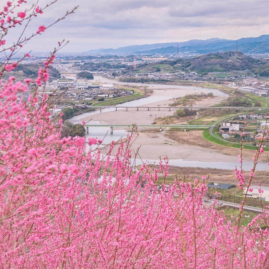 コサさんのインスタグラム写真 - (コサInstagram)「奈良に向かう途中、ふと窓の外を見ると、山の方にビビットなピンク色を発見🧐 どーしても気になったので寄ってみると桃の花でした😍 また1つお気に入りポイントが増えました👍 . Location:和歌山県 Wakayama/Japan Data:2019.3.22 . #Japan_Daytime_View #はなまっぷ #桃  #IGersJP #light_nikon #insta_wakayama #グッドトリップ和歌山 #tokyocameraclub #art_of_japan_ #team_jp_ #Lovers_Nippon #広がり同盟メンバー #IG_PHOS #dpj_member #photo_jpn #pt_life_ #inspiring_shot #bestjapanpics #LBJ_members #LINES_and_POINTS #ptk_japan #nipponpic_member #sorakataphoto #japan_great_view #私の花の写真 #photo_travelers #photo_shorttrip #s_shot #bestphoto_japan#japan_of_insta」3月23日 7時37分 - kosa_photo