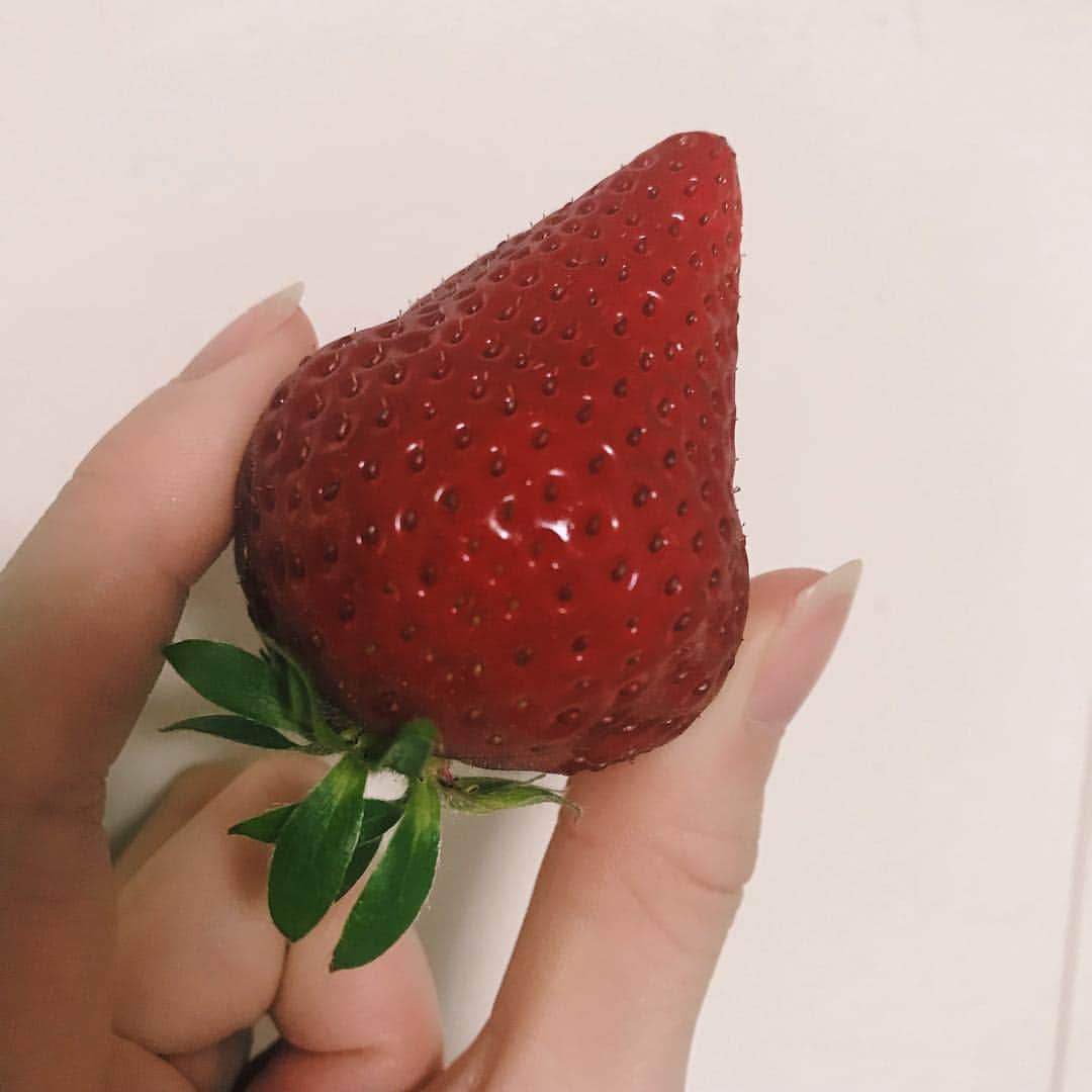杉浦みずきのインスタグラム：「. こんなに大きいいちご！🍓 徳島産夢いちご」