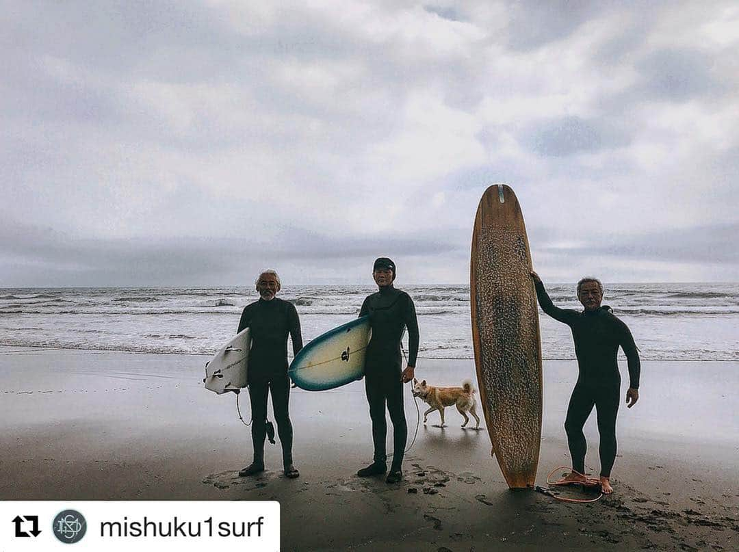 丸山智己さんのインスタグラム写真 - (丸山智己Instagram)「朝練🏄‍♂️ #三宿第一サーフィン部 #朝練 #surfing #dog」3月22日 22時36分 - tomomi.maruyama0327