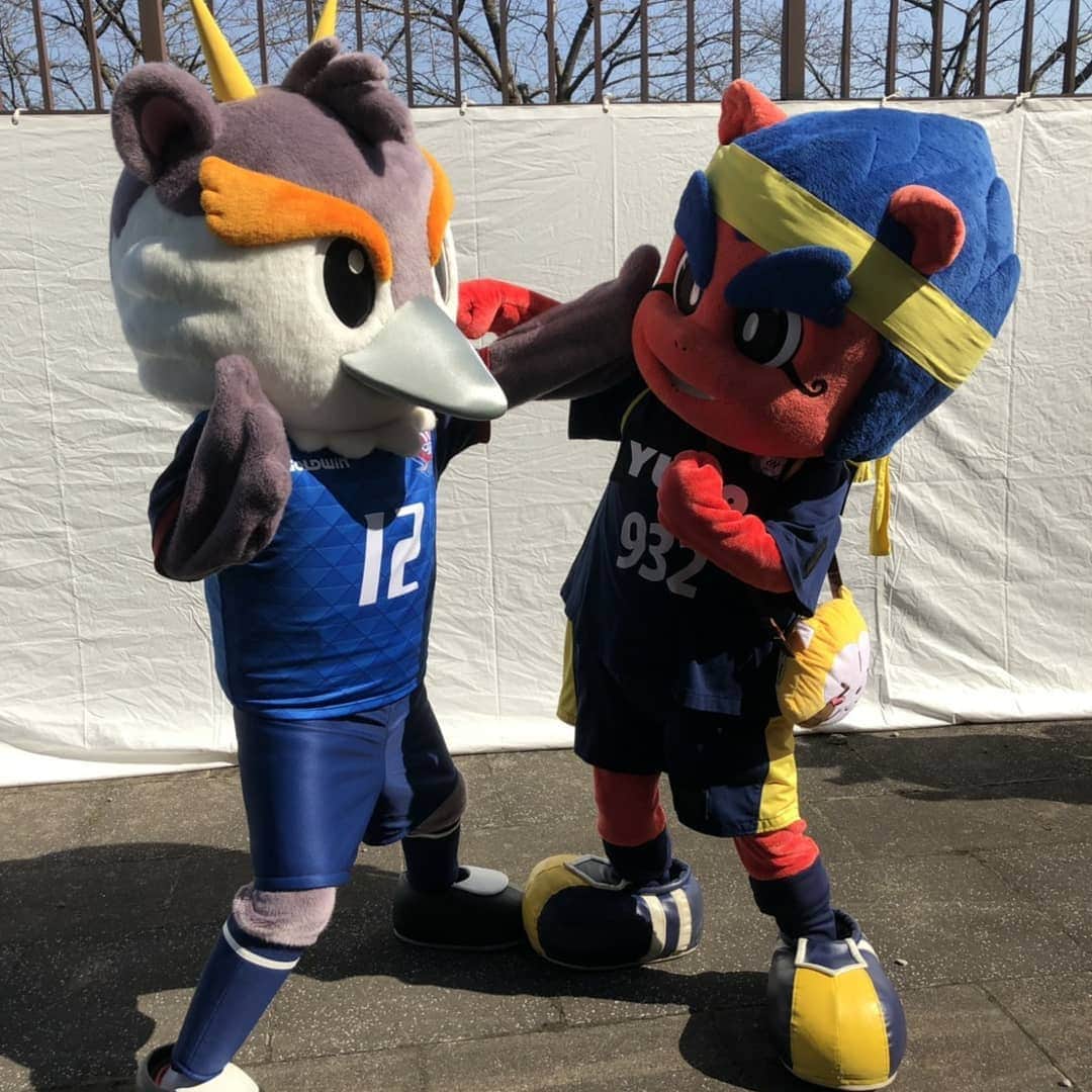 ザスパクサツ群馬さんのインスタグラム写真 - (ザスパクサツ群馬Instagram)「. 【3/24 富山戦／試合情報🌷⛰️】 . 「バトルオブ上信越」開催🚄✨ . 2019シーズンから、カターレ富山、AC長野パルセイロと3チーム共同で、バトルオブ上信越を開催します！ コラボグッズ、マスコット対決、スタンプラリーなどイベント盛りだくさん❗ そして、今シーズン初のアウェイ戦🔥 お互いに元在籍選手も多く、カターレ富山の安達監督は市立船橋高校出身で、布監督とは師弟対決！！ . 勝って2連勝して群馬に帰って来ましょう⤴️ . 🆚 #カターレ富山 📅 2019.03.24.sun 🕑 14:00kickoff 🏟️ 富山県総合運動公園陸上競技場 ⏩https://www.kataller.co.jp/game/ . . #ザスパクサツ群馬 #thespa #カターレ富山 #バトルオブ上信越」3月22日 22時53分 - thespakusatsugunma_official