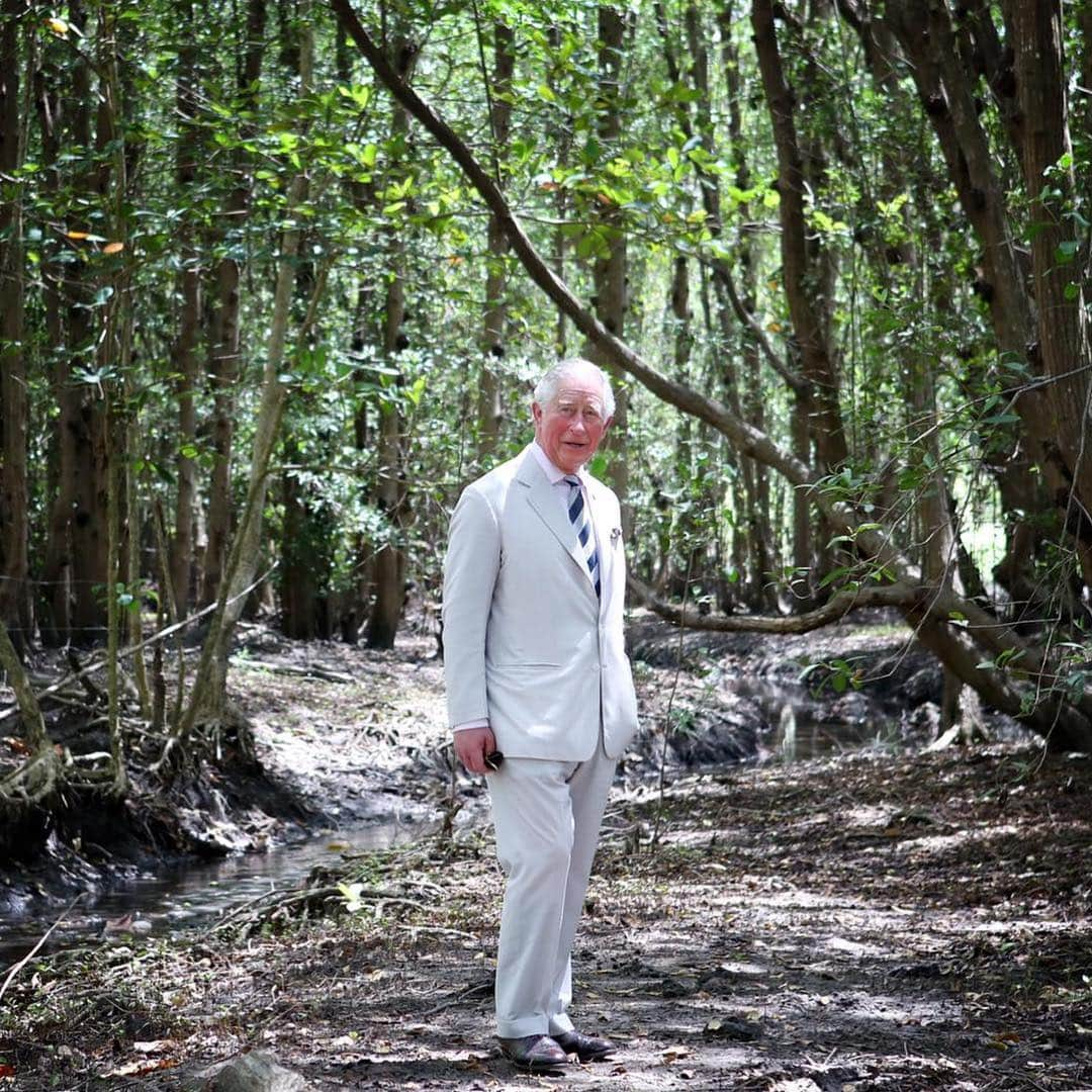 ロイヤル・ファミリーさんのインスタグラム写真 - (ロイヤル・ファミリーInstagram)「The Prince of Wales and the Duchess of Cornwall continued their Tour of The Caribbean this week, carrying out a number of engagements in Barbados, St Vincent and the Grenadines and St Kitts and Nevis.  His Royal Highness yesterday announced the launch of The Prince of Wales Commonwealth Scholarship - the programme will give Commonwealth students the opportunity to study subjects such as Climate Change, sustainability and the blue economy at Cambridge University. #RoyalVisitStKitts During #RoyalVisitBarbados, @lionelrichie was unveiled as the first Global Ambassador of The Princes Trust - The Prince's Trust International was founded by The Prince of Wales in 2015 to share the successful programmes of @princestrust and reach more young people worldwide. Meanwhile, The Duchess of Cornwall attended a #CommonwealthBigLunch pupils at the Derrick Smith School - The Big Lunch encourages people to come together to share food and friendship and make new connections. As part of #RoyalVisitStVincent The Prince of Wales visited The Prospect Brighton Mangrove, the only remaining white mangrove and coastal forest in mainland St Vincent and home to unique wildlife, including blue land crab and red footed turtle.  Follow @ClarenceHouse for more details on The Prince of Wales and The Duchess of Cornwalls' Caribbean Tour.」3月22日 22時58分 - theroyalfamily