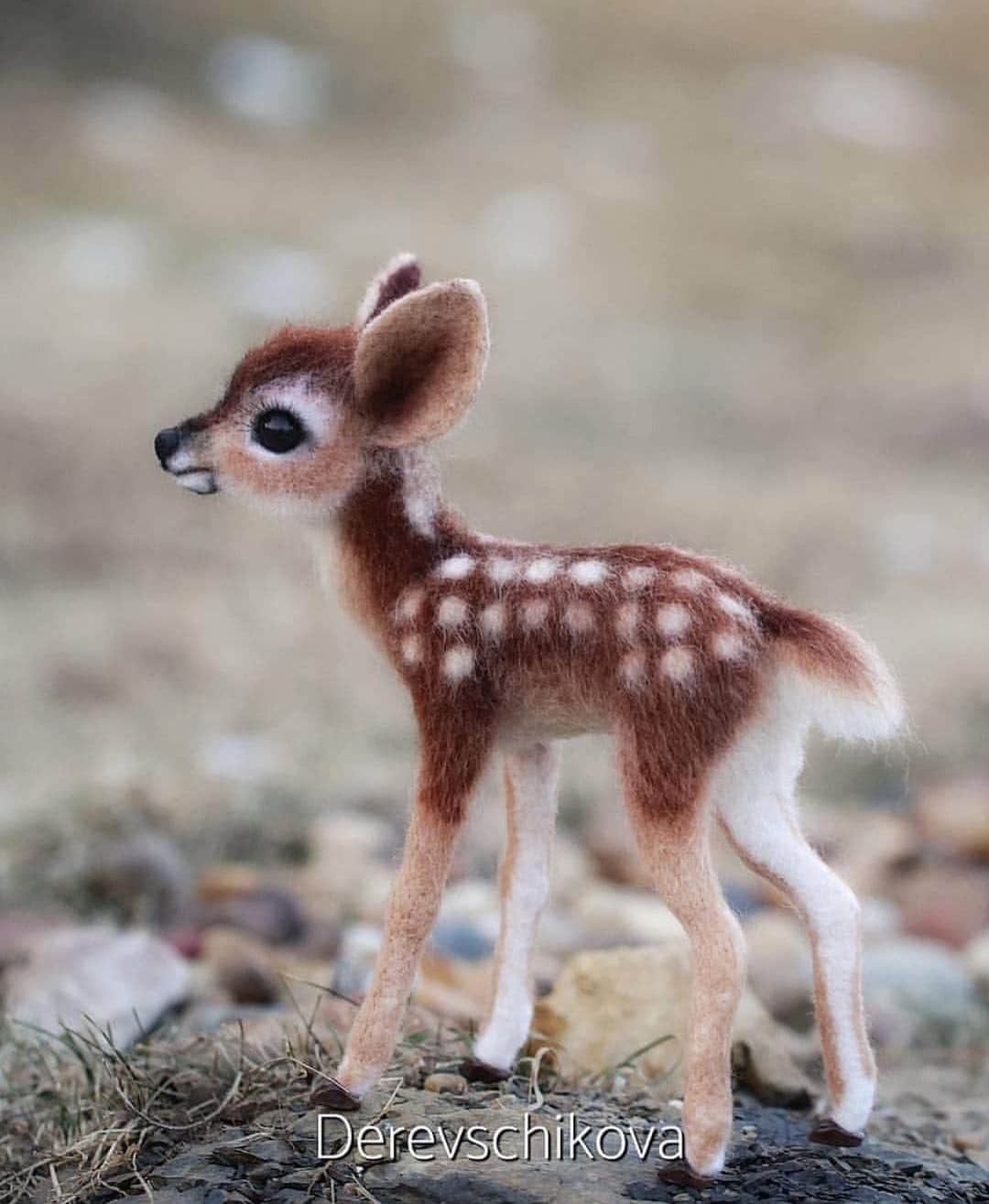 wonderful natureさんのインスタグラム写真 - (wonderful natureInstagram)「Soo cute😍 Yes or No🤔 Photo by @derevschikova check her feed out for more」3月22日 23時17分 - awesome.earth