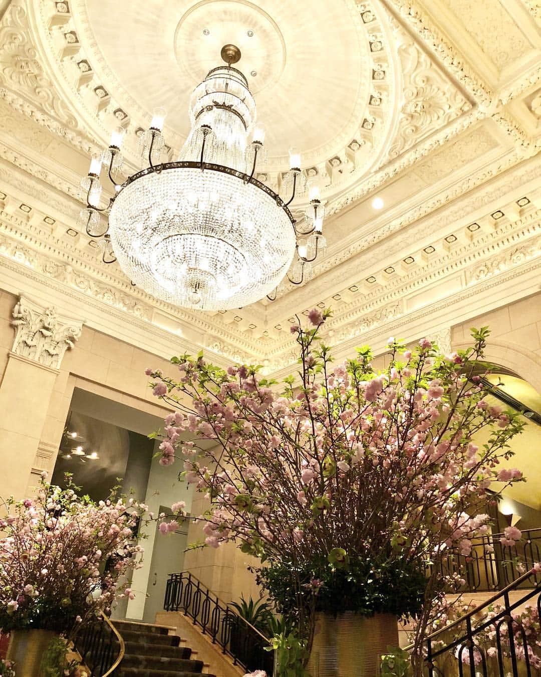 The Peninsula New Yorkさんのインスタグラム写真 - (The Peninsula New YorkInstagram)「It may be grey outside, but the lobby is sparkling and bright with fresh spring blooms #PNYlobbyflowers #flowerfriday」3月22日 23時17分 - thepeninsulanyc