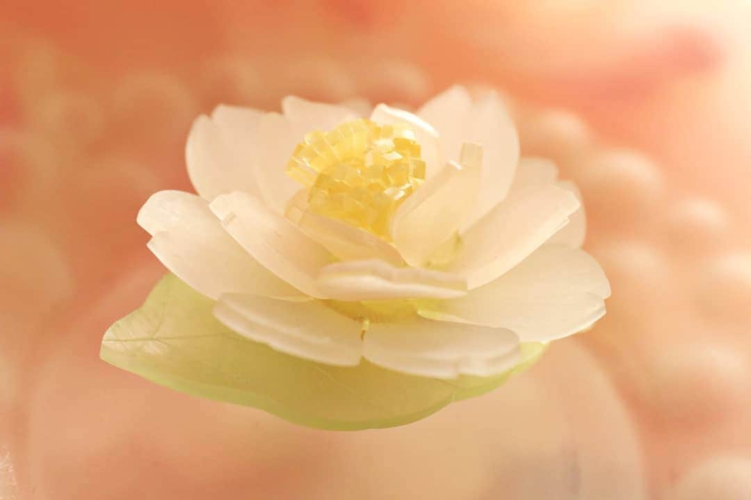 しば　さおりさんのインスタグラム写真 - (しば　さおりInstagram)「東京も桜の開花が発表🌸地元の桜で有名な公園のスポットライト、屋台の期間も掲載され…春を感じています。 . 私は毎年家族で夜桜を見に行くのですが、今年も楽しみです(*^^*) . プラバンで咲かせた桜をそっと置いていきます。 . #さくら #花見 #お花見 #桜 #サクラ . #立体プラバン #プラバン  #プラ板 #アクセサリー #ハンドメイド #アート #癒し #かわいい #シンプル #手作り #花 #ザ花部 #花のある暮らし #ナチュラル #和菓子 #熱縮片 #shrinkplastic  #IGersJP #handmade #flower #instagram #instagood #instaart #デザイン」3月22日 23時18分 - koshiba0822