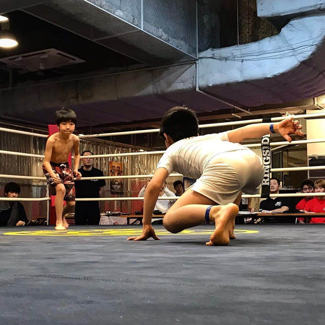 阿部裕幸さんのインスタグラム写真 - (阿部裕幸Instagram)「AACCキッズMMAチーム、キッズ修斗に3名出場‼️ グラップリングも修斗も大活躍😊 頑張りました👍🏻 AACC Kids MMA team, fight in Kids Shooto everyone is good!!!! #aacc #aaccmma #aacckids #aacckidsmma #mma #shooto #amatuershooto #aaccキッズ #キッズMMA #キッズ修斗 #アマチュア修斗 #grappling #グラップリング #tokyofreefight8 #東京フリーファイト8」3月22日 23時18分 - abeani111