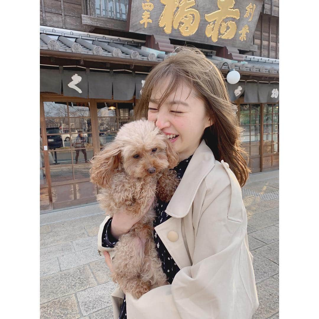 上西星来さんのインスタグラム写真 - (上西星来Instagram)「念願の猿田彦神社へ！ たくさんパワーをいただきました🙏🏻 そして #おかげ横丁  へ！ うちの愛犬らいむくん❣️ 全然こっち見てくれないし暴れる😳いい子にして〜😳 Seira¨̮♡︎ #三重県 #伊勢 #トイプードル」3月22日 23時45分 - seira_jonishi_tpd