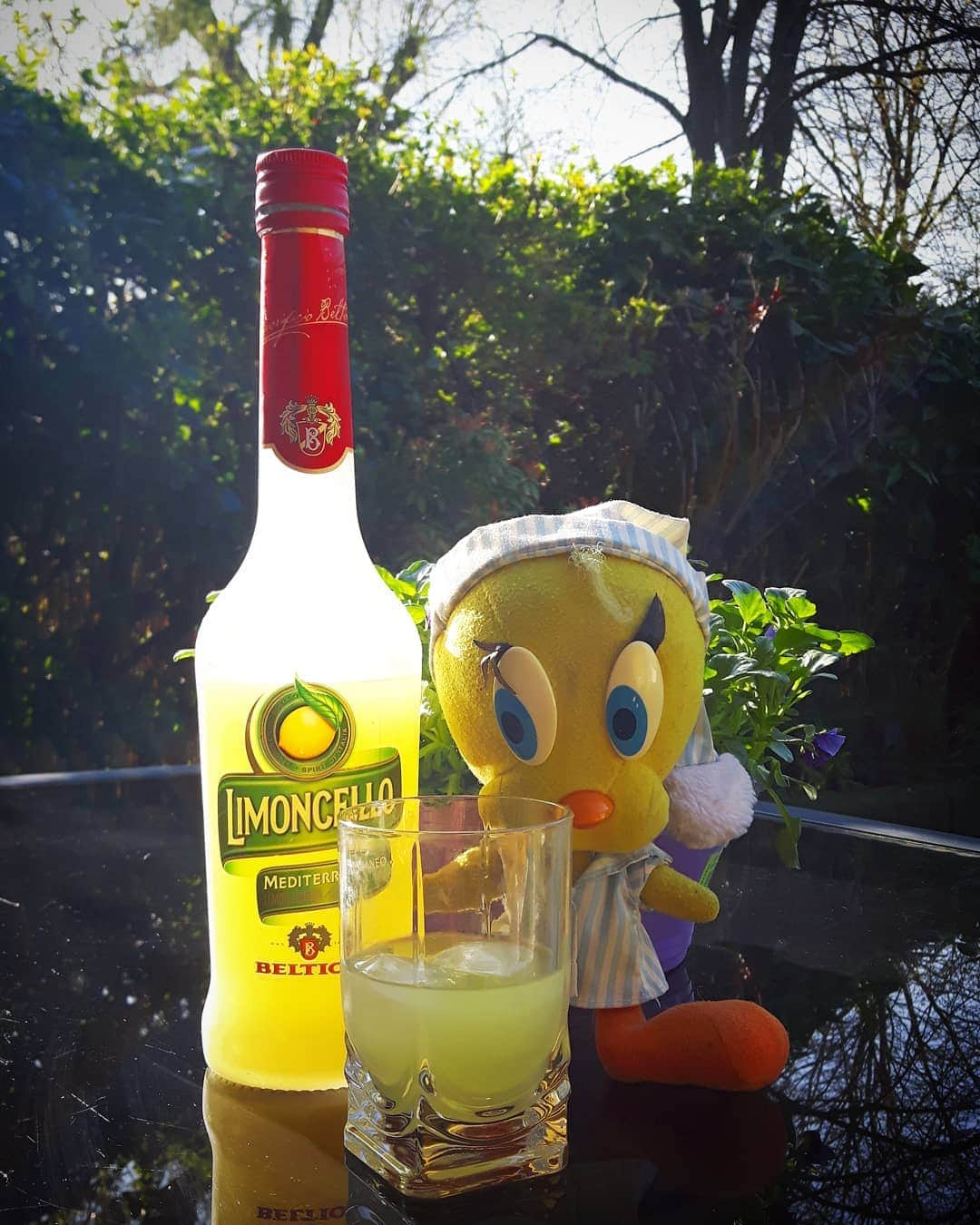 Little Yellow Birdさんのインスタグラム写真 - (Little Yellow BirdInstagram)「This glorious sunny weather really gets the juices going. And by juices I mean Limoncello. And by 'going' I mean keep it coming!!! #littleyellowbird #tweety #tweetykweelapis #adventures #yellow #bird #weekend #friday #tgif #cheers #limoncello #happyhour #happydays #sun #sunny #sunnyweather #march #spring #lente #zon #happyjuice #stuffedanimalsofinstagram #plushiesofinstagram」3月22日 23時53分 - tweetykweelapis