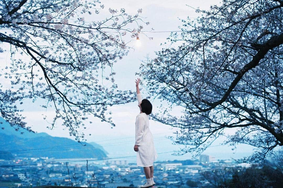 岩倉しおりさんのインスタグラム写真 - (岩倉しおりInstagram)「桜の丘。ここからみる桜がとてもすき。町も海も山もみわたせる。」3月23日 0時34分 - iwakurashiori
