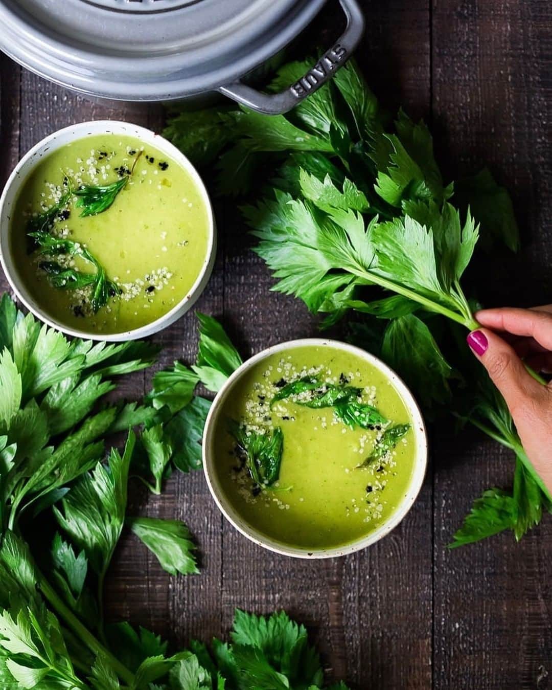 Staub USA（ストウブ）さんのインスタグラム写真 - (Staub USA（ストウブ）Instagram)「🌱 Who says soup just has to be for winter? We are ALL about fresh, springy soups with bright flavors, like @feastingathome's Simple Celery Soup topped with nigella, hemp seeds and crispy celery leaves! . . Find the recipe, featuring Staub Graphite Cocotte at https://www.feastingathome.com/celery-soup/.」3月23日 1時00分 - staub_usa