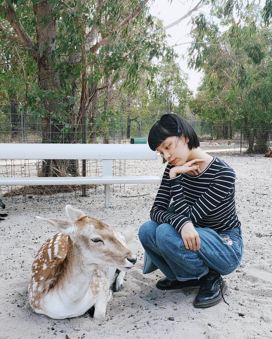 る鹿さんのインスタグラム写真 - (る鹿Instagram)「Ok! Make one more new friend 🦌💓🦌 #る鹿と鹿」3月23日 1時00分 - luluxinggg