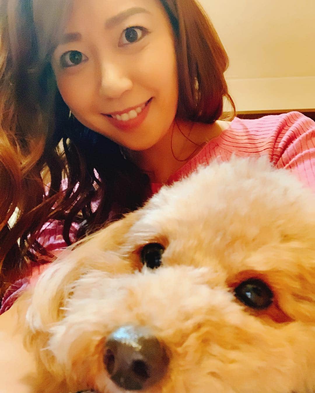須黒清華のインスタグラム：「膝の上でくつろぐ、ちょっとアンニュイな雰囲気のクルミさんと💕 今週もお疲れ様でしたー‼︎ #愛犬 #保護犬 #くるみ #アンニュイ #癒し #トイプードル #toypoodle #dog #lovedogs  皆さん良い週末を〜✨✨」